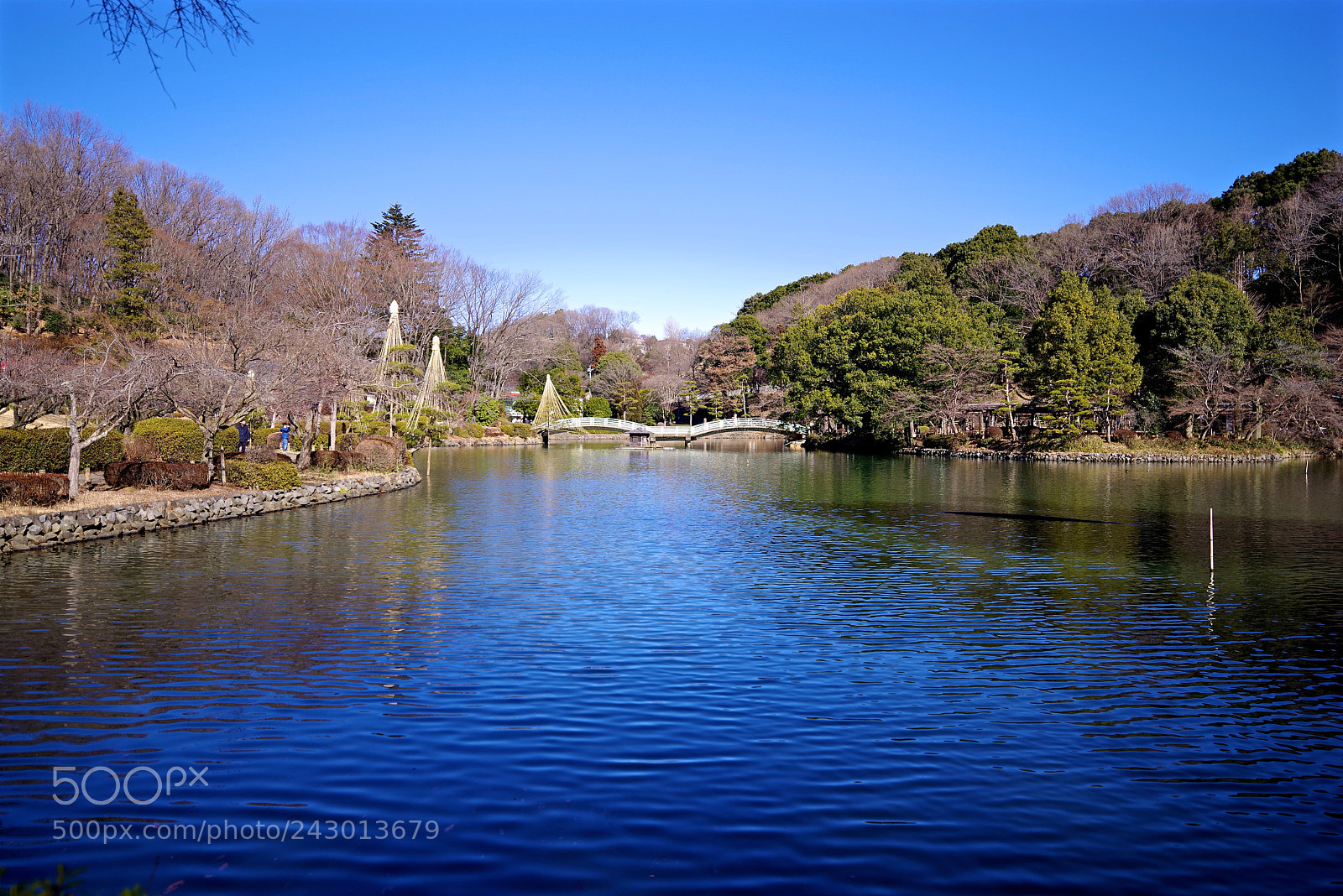 Pentax K-1 sample photo. Winter pond & sky photography