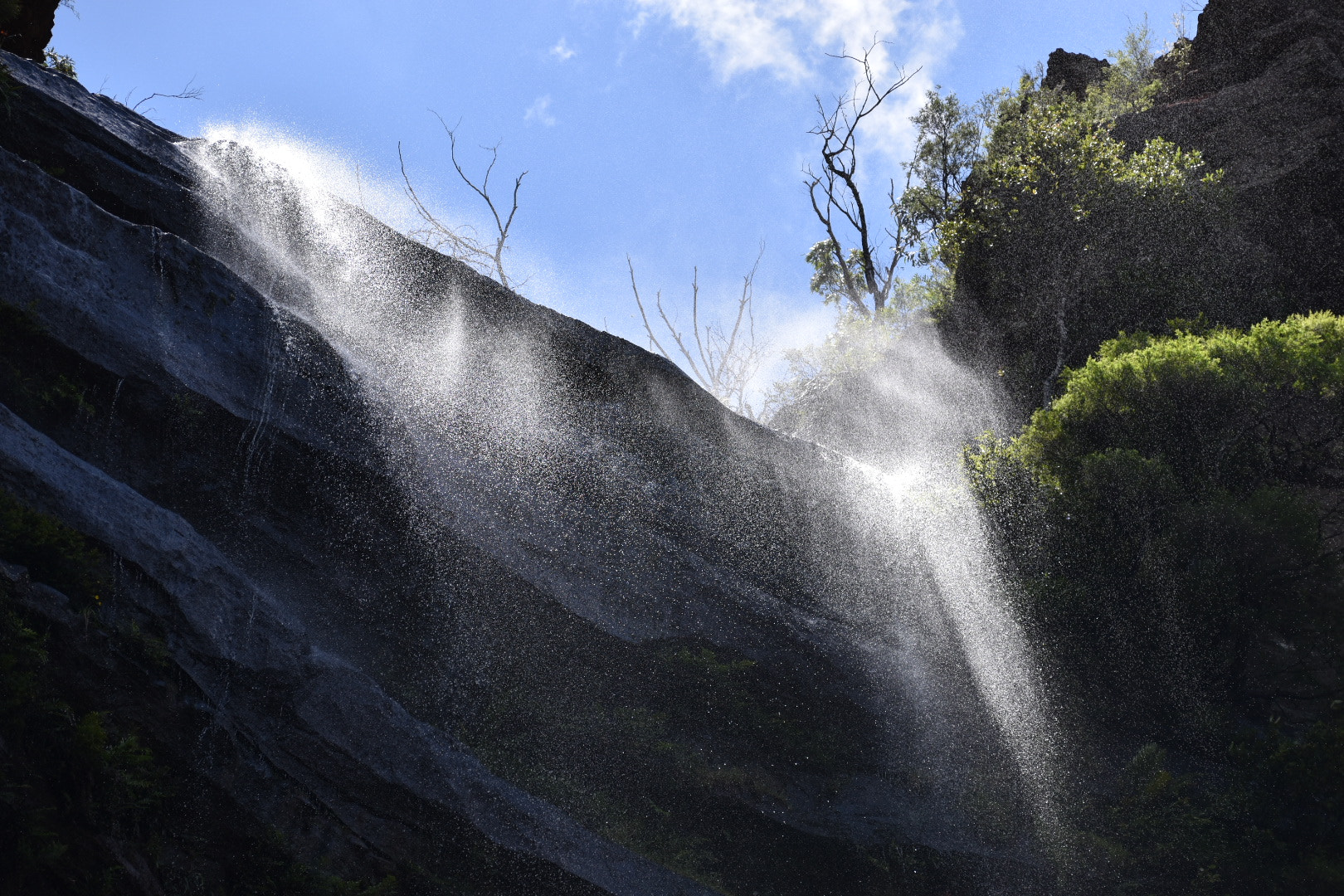 Nikon D5600 sample photo. Water in the wind photography