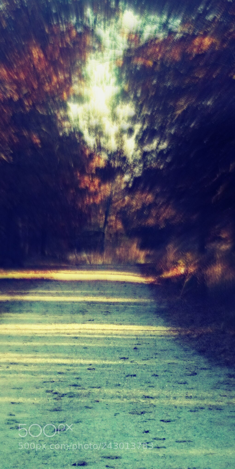 Samsung Galaxy S5 sample photo. The long road home photography
