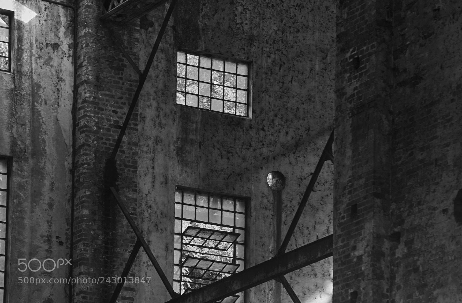 Nikon D610 sample photo. The abandonned factory photography