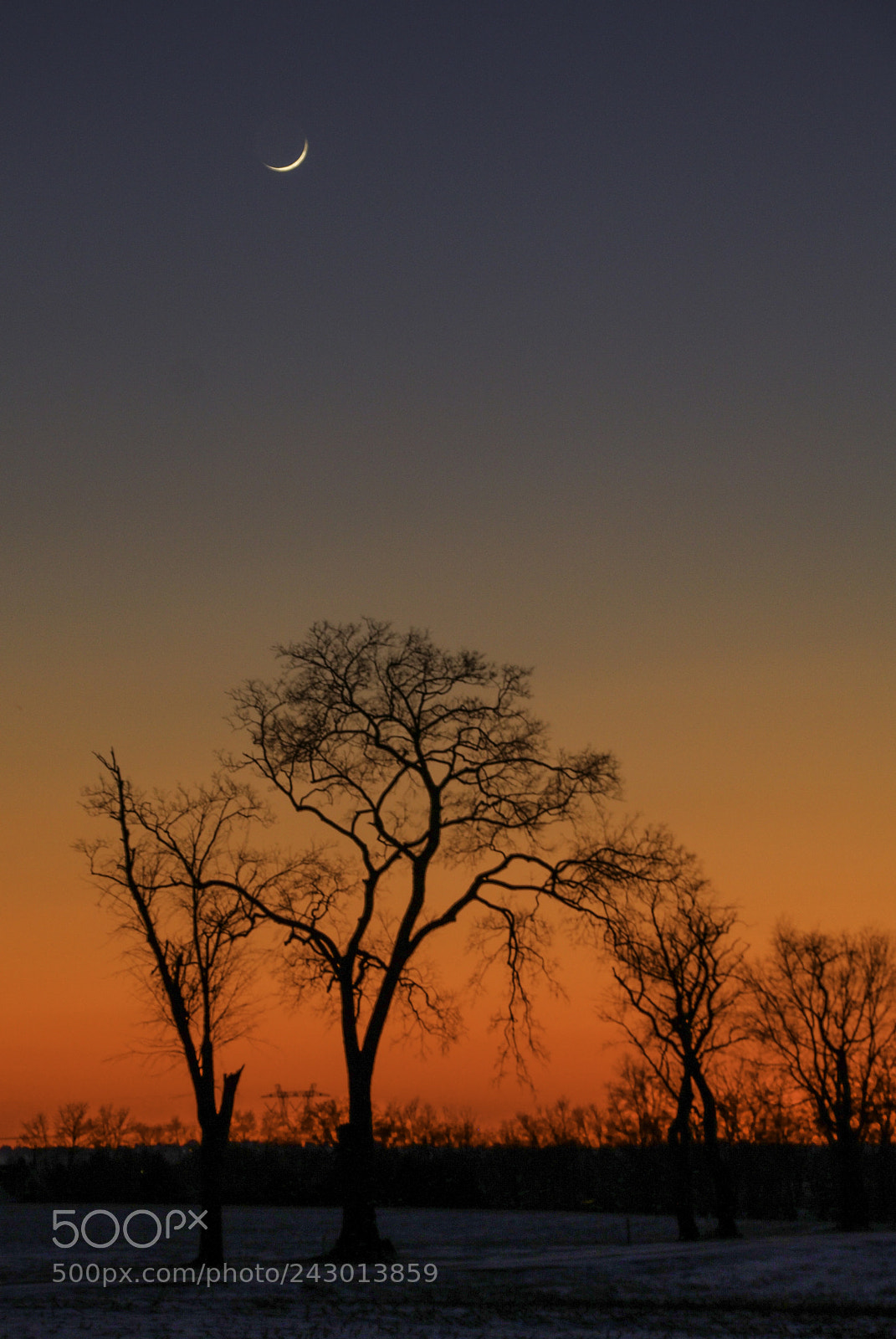 Canon EOS 750D (EOS Rebel T6i / EOS Kiss X8i) sample photo. Crescent moon sunset photography