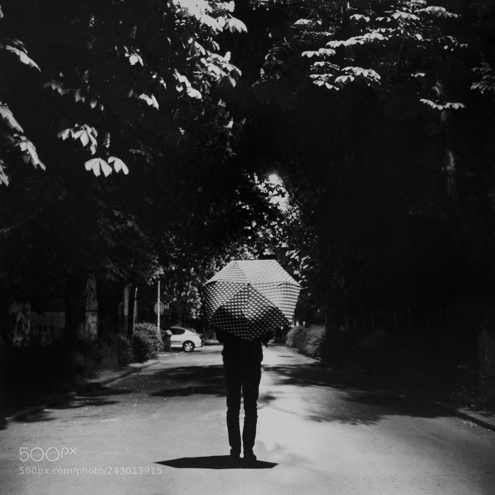 Nikon D7100 sample photo. Umbrella photography