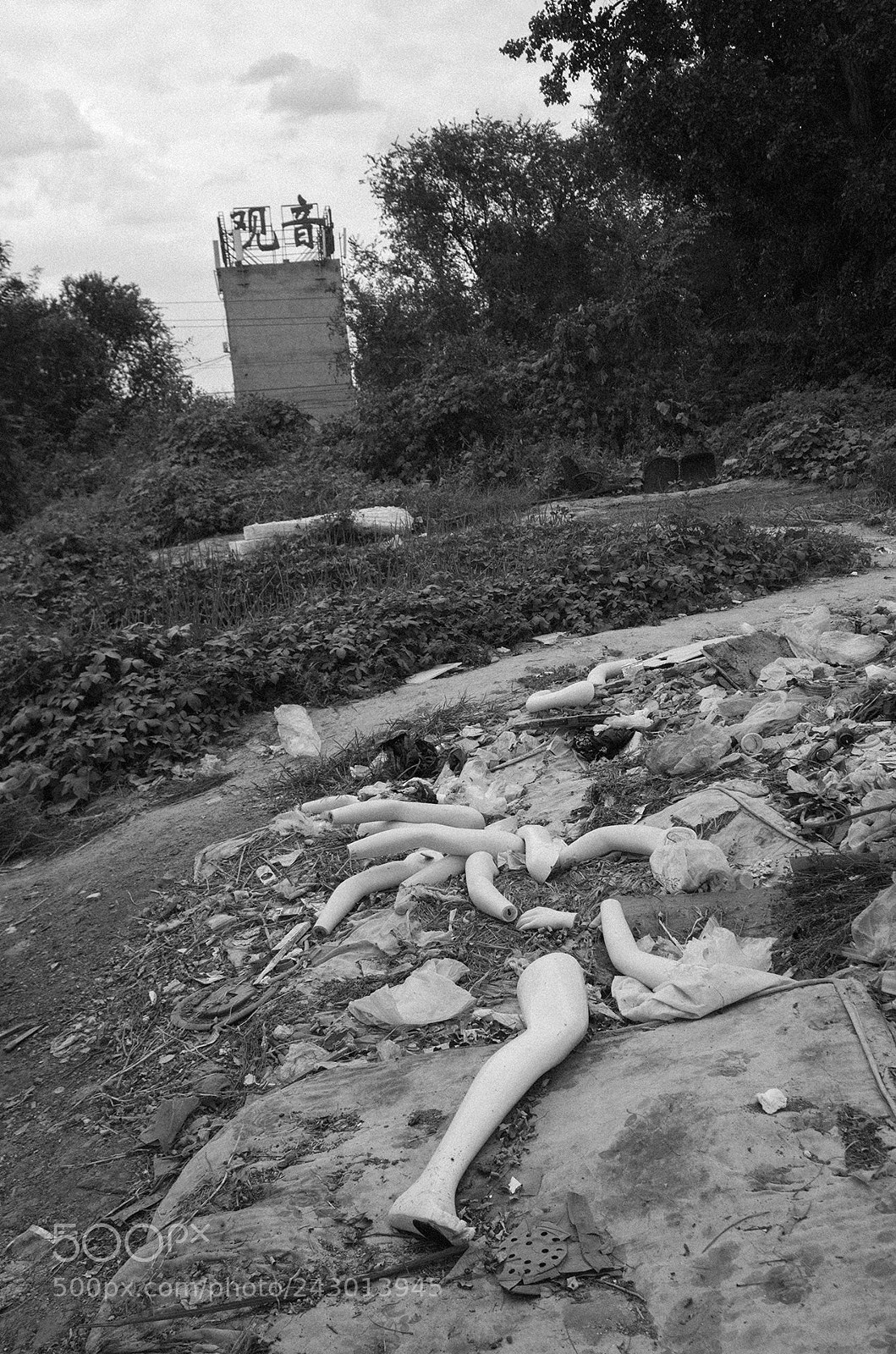 Ricoh GR sample photo. Untitled photography