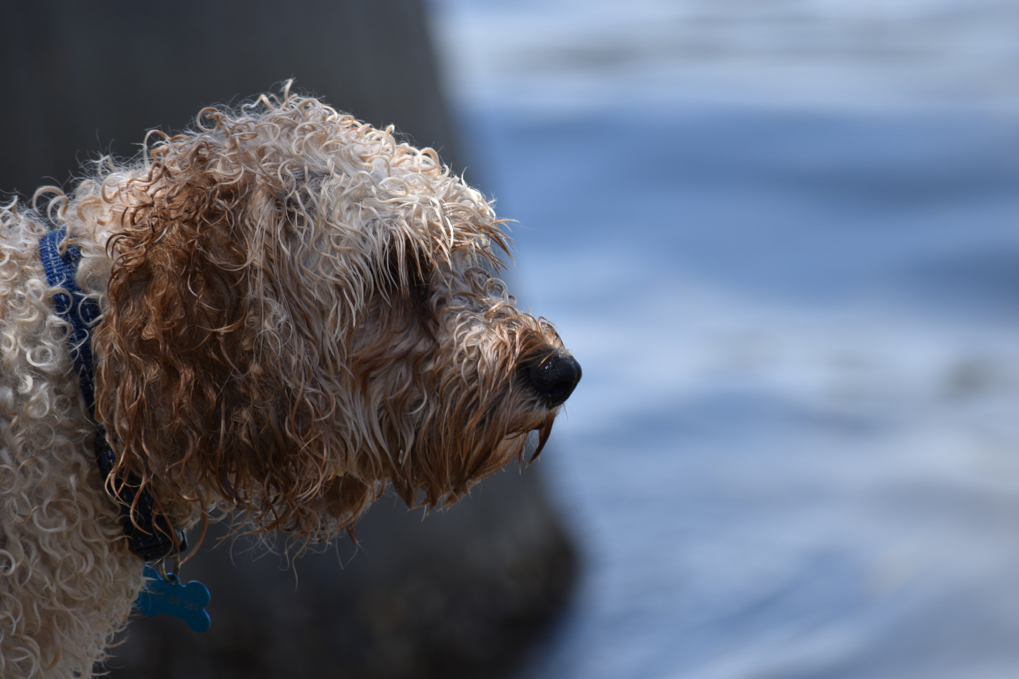 Nikon D5600 sample photo. After the splash photography