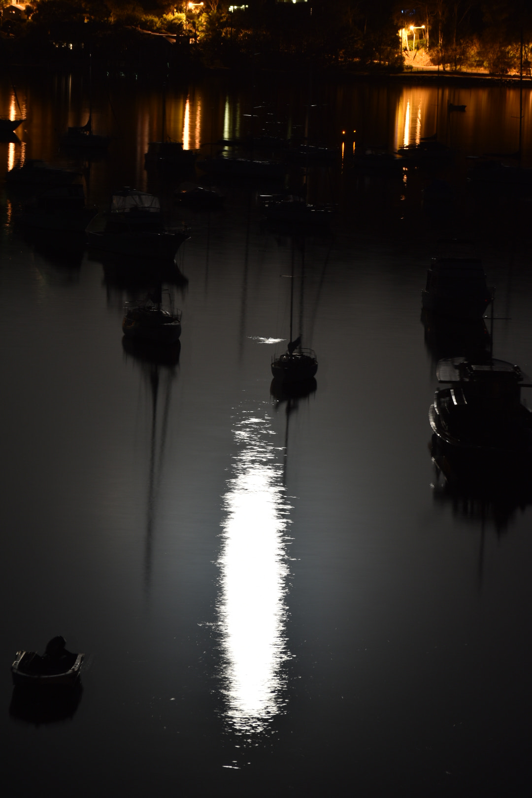 Nikon D5600 sample photo. Stairway to the moon photography