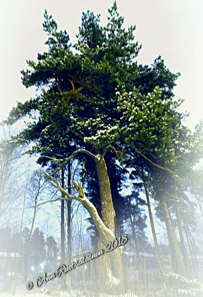 Nikon Coolpix B500 sample photo. Untitled photography