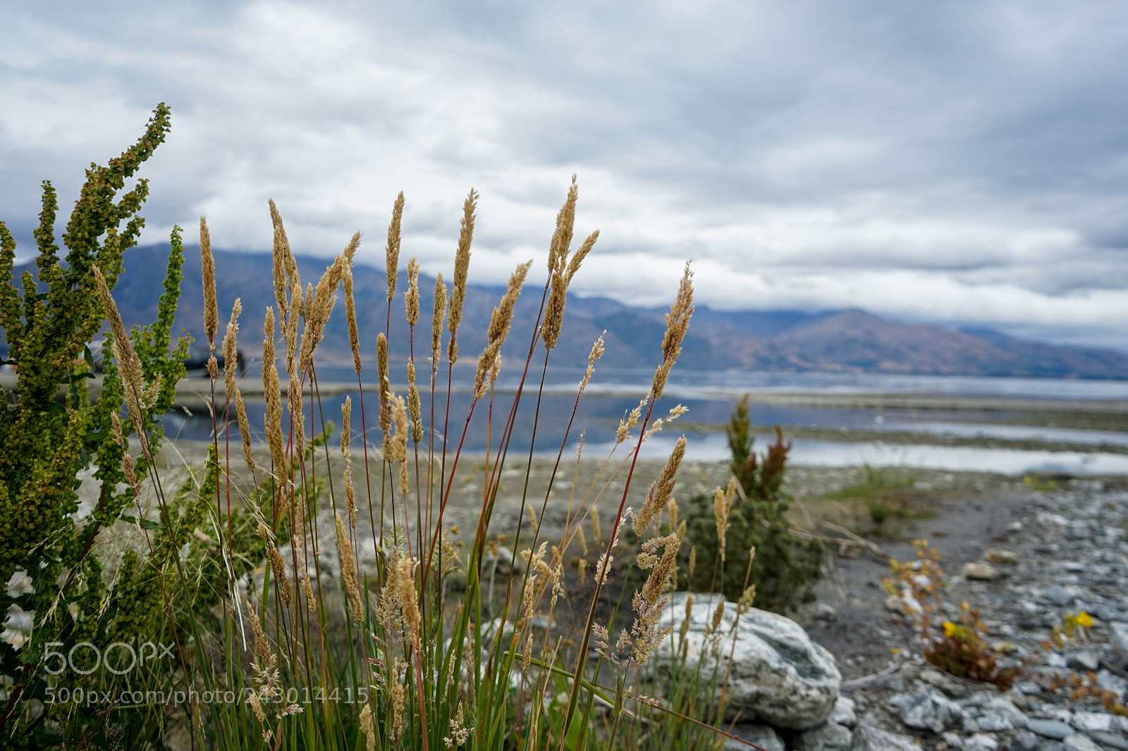 Sony a7 sample photo. Dsc00597-1.jpg photography