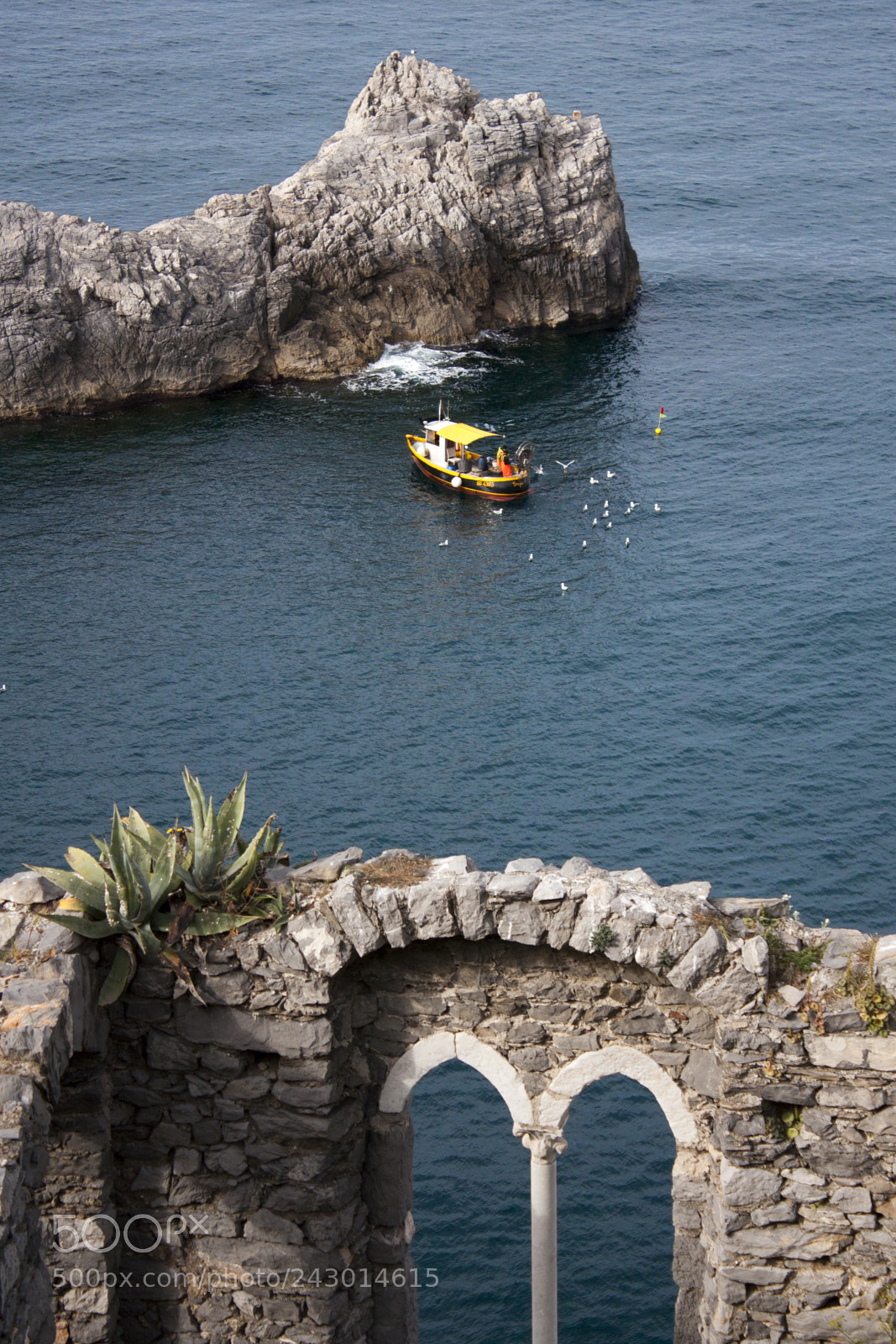 Canon EOS 500D (EOS Rebel T1i / EOS Kiss X3) sample photo. Portovenere photography