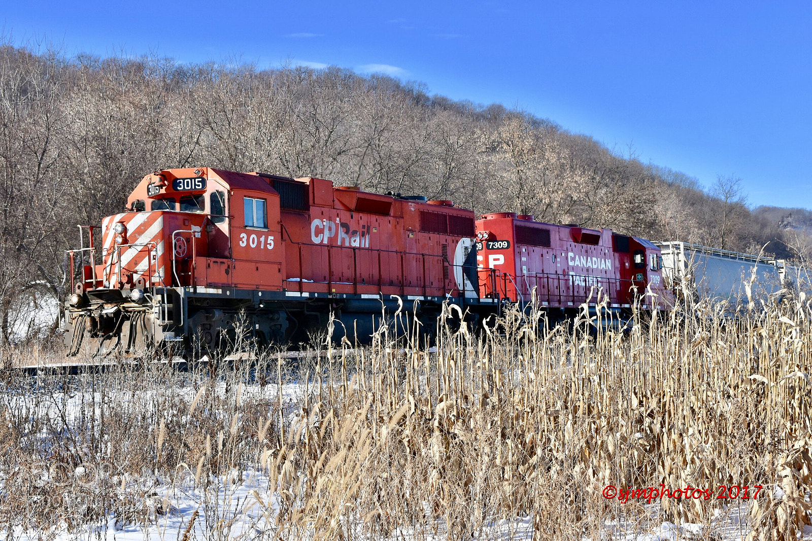 Nikon D7200 sample photo. Cp 3015 photography