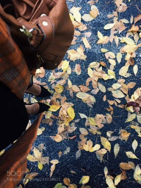 Apple iPhone 6 sample photo. Make like a leaf photography