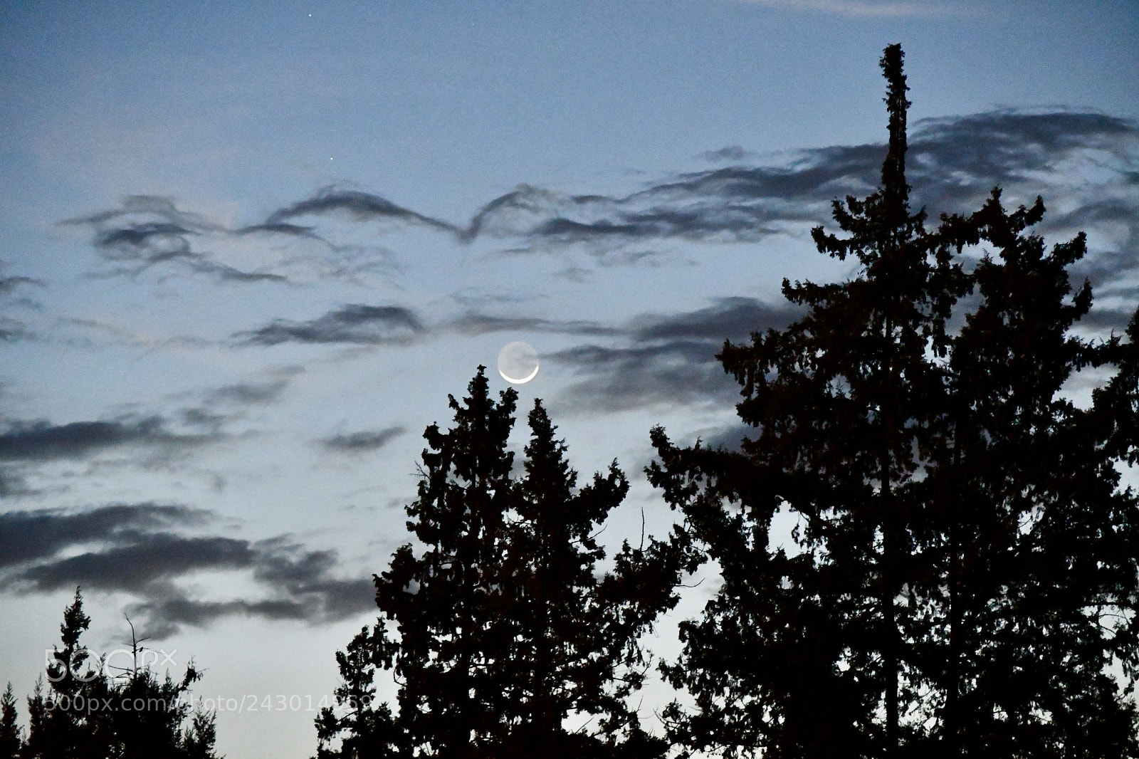 Nikon D7500 sample photo. Dramatic afternoon. photography