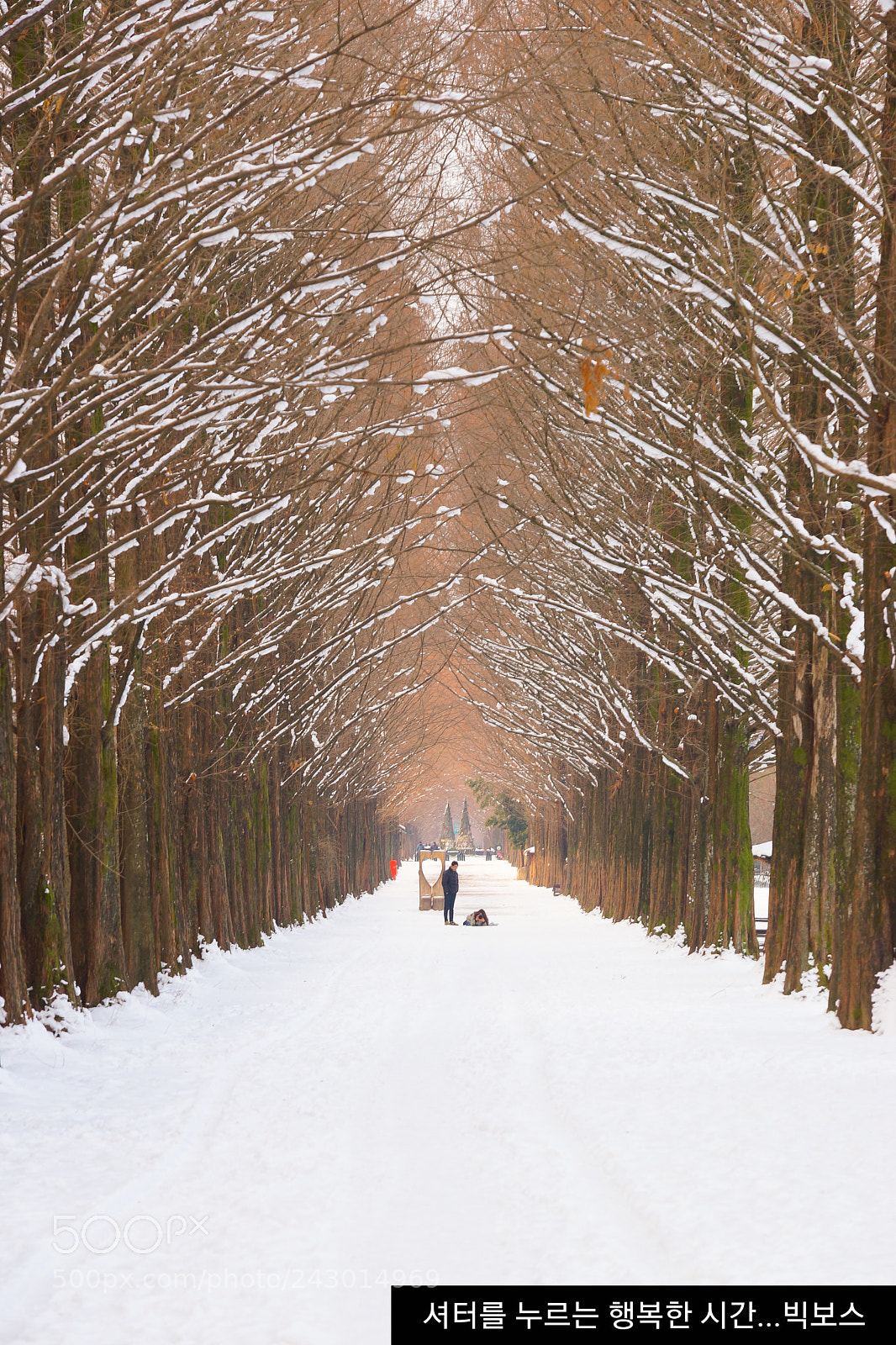 Sony SLT-A99V sample photo. Snowing in the damyang photography