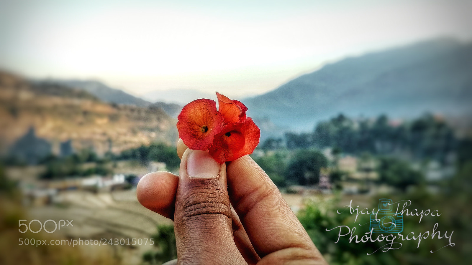 Xiaomi Redmi 4 Pro sample photo. Gratitude photography