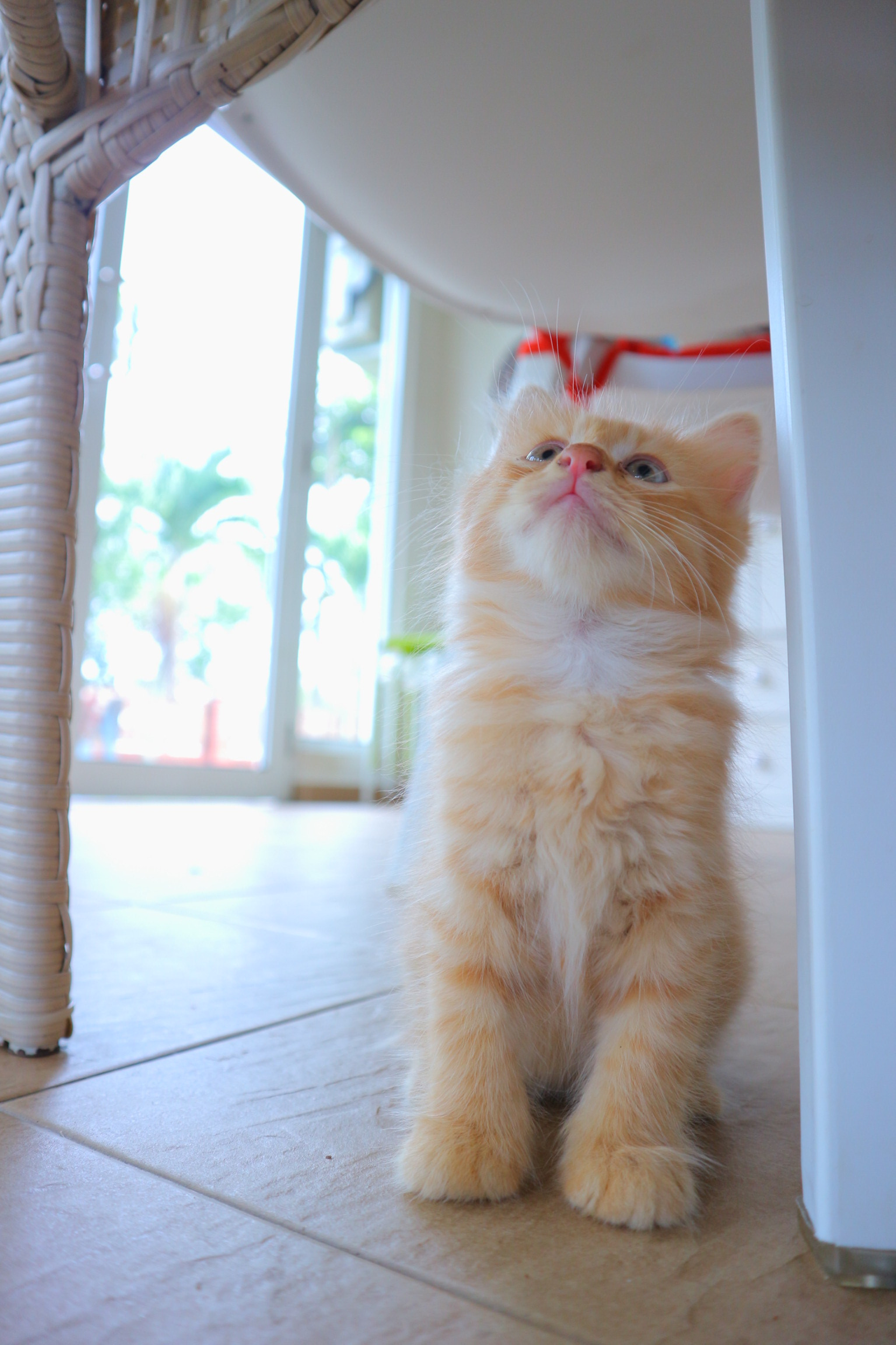 Canon EOS M10 sample photo. Aim higher photography