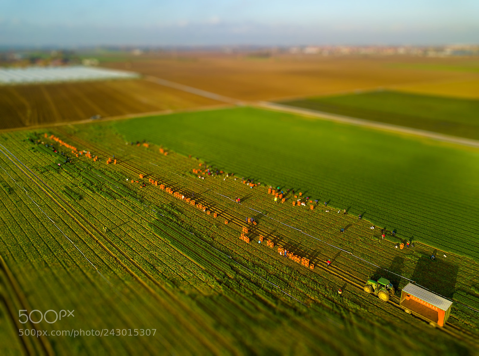 DJI FC220 sample photo. Harvest time photography