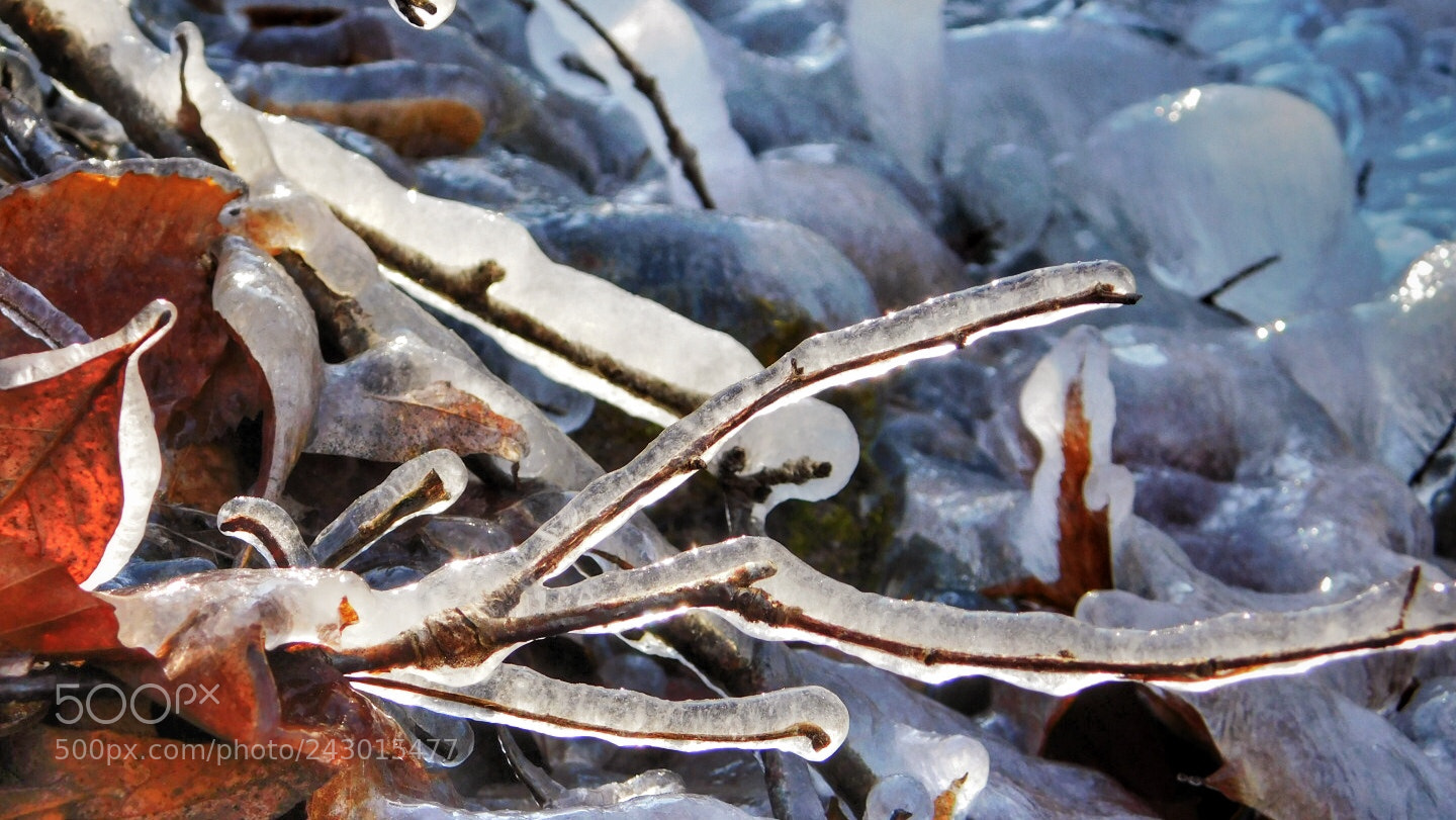 Nikon Coolpix B500 sample photo. Icy scene in the photography