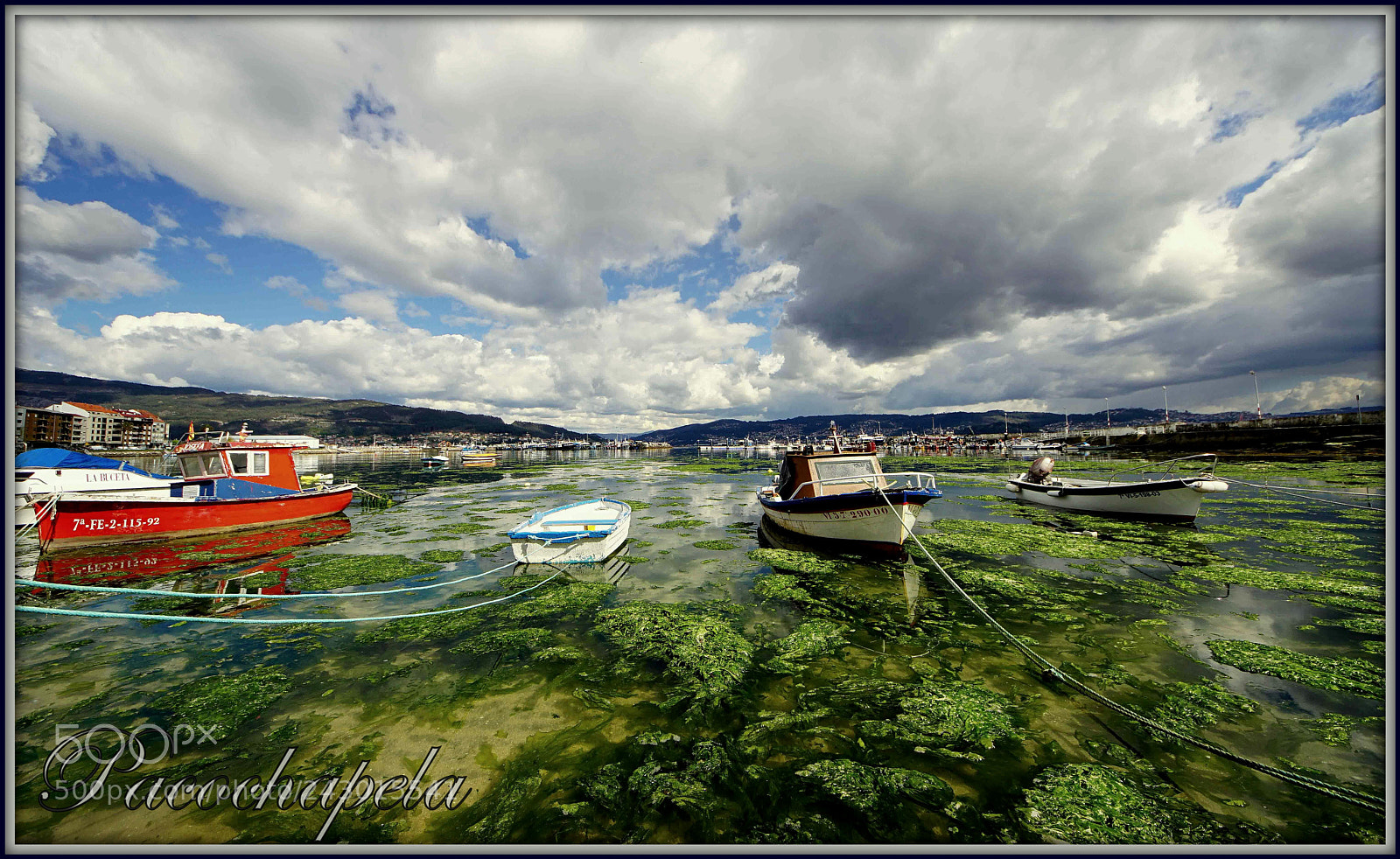 Sony ILCA-77M2 sample photo. Desde mi bentana photography