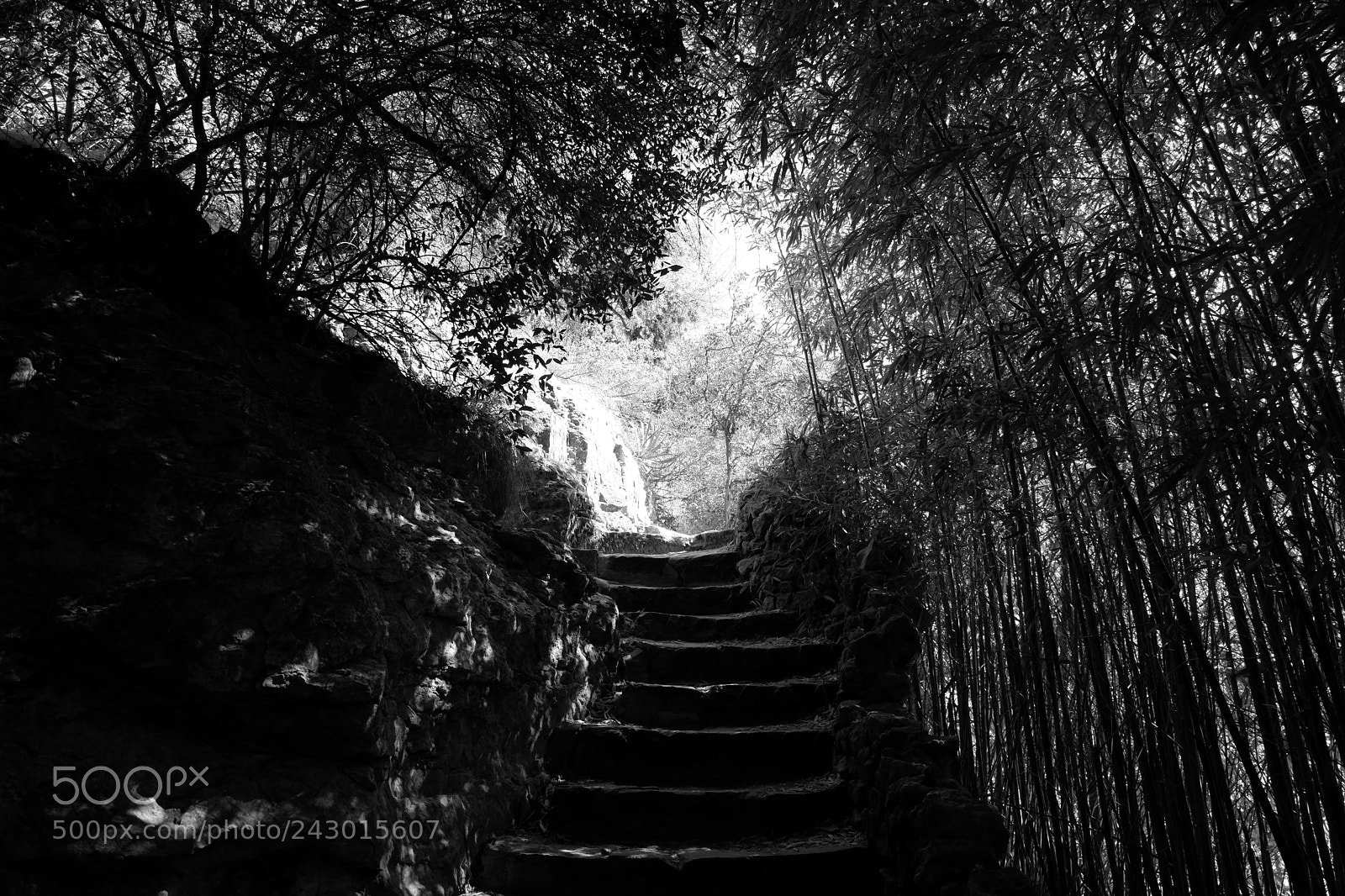 Fujifilm X-A3 sample photo. Japanese tea garden san photography