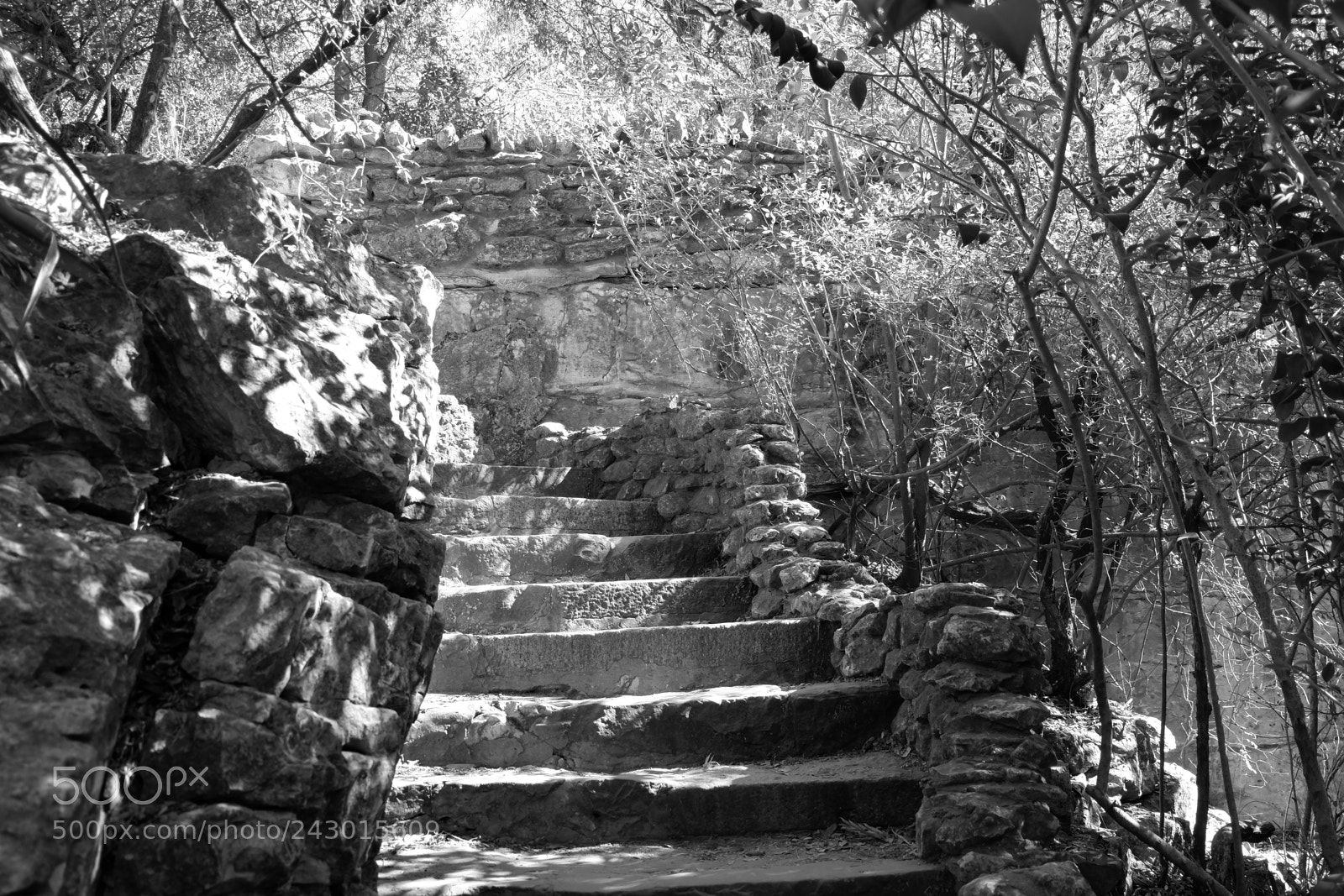Fujifilm X-A3 sample photo. Japanese tea garden san photography