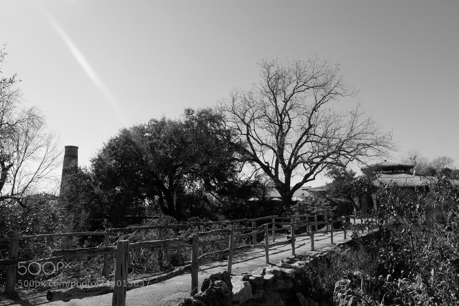 Fujifilm X-A3 sample photo. Japanese tea garden san photography