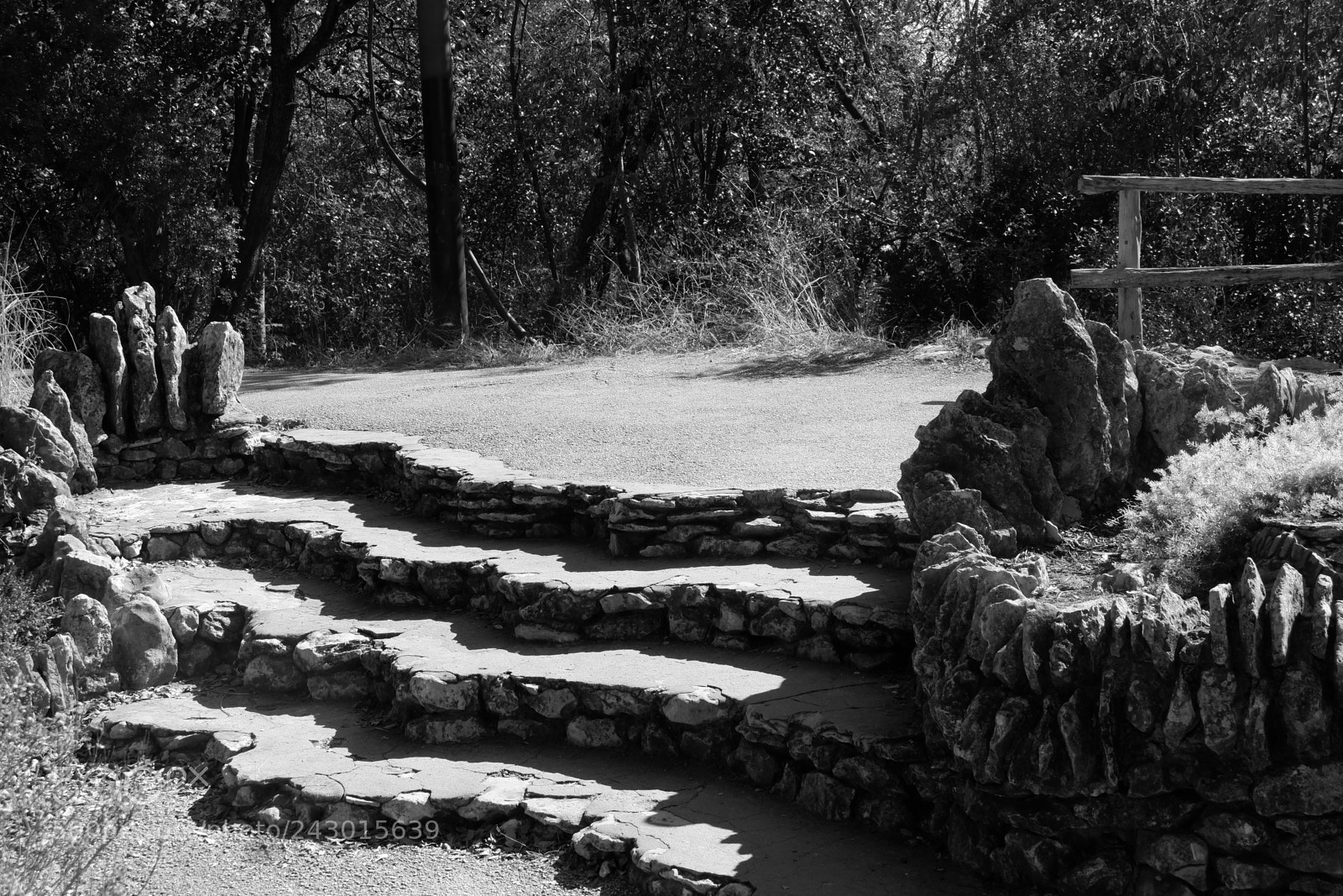 Fujifilm X-A3 sample photo. Japanese tea garden san photography