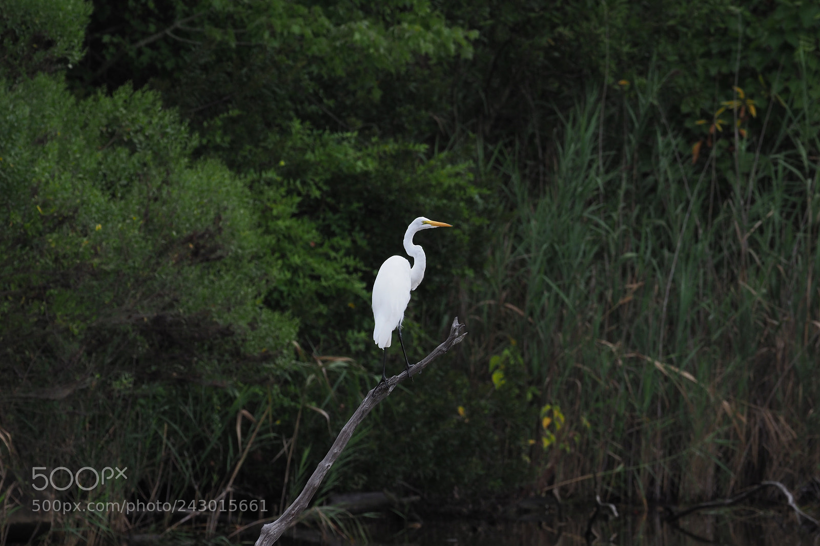 Olympus OM-D E-M1 Mark II sample photo. Olympus digital camera photography