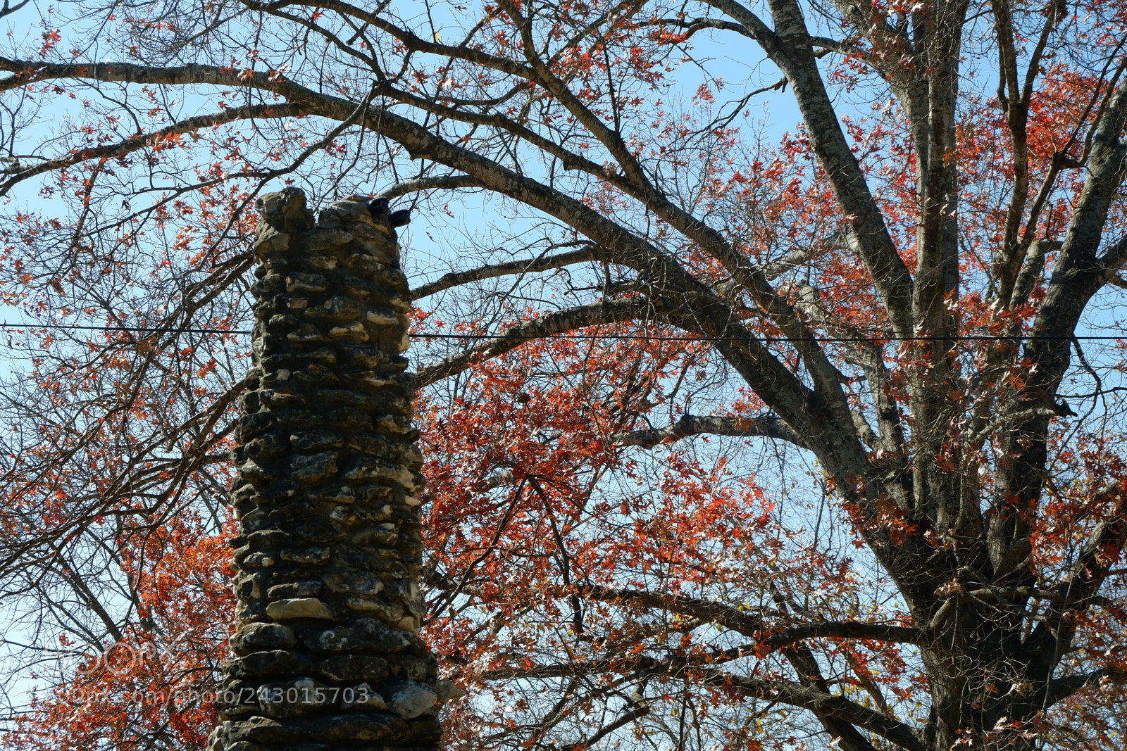 Fujifilm X-A3 sample photo. Japanese tea garden san photography