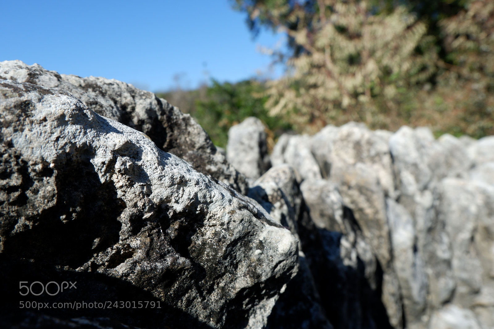 Fujifilm X-A3 sample photo. Japanese tea garden san photography