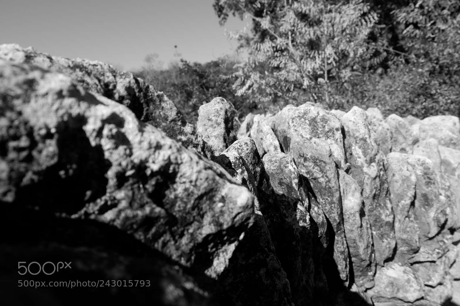 Fujifilm X-A3 sample photo. Japanese tea garden san photography