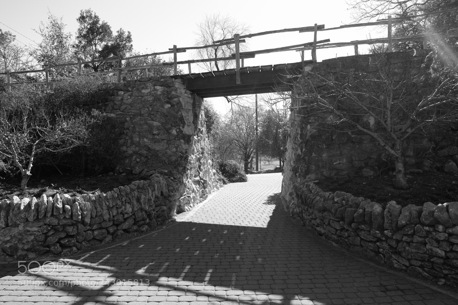 Fujifilm X-A3 sample photo. Japanese tea garden san photography