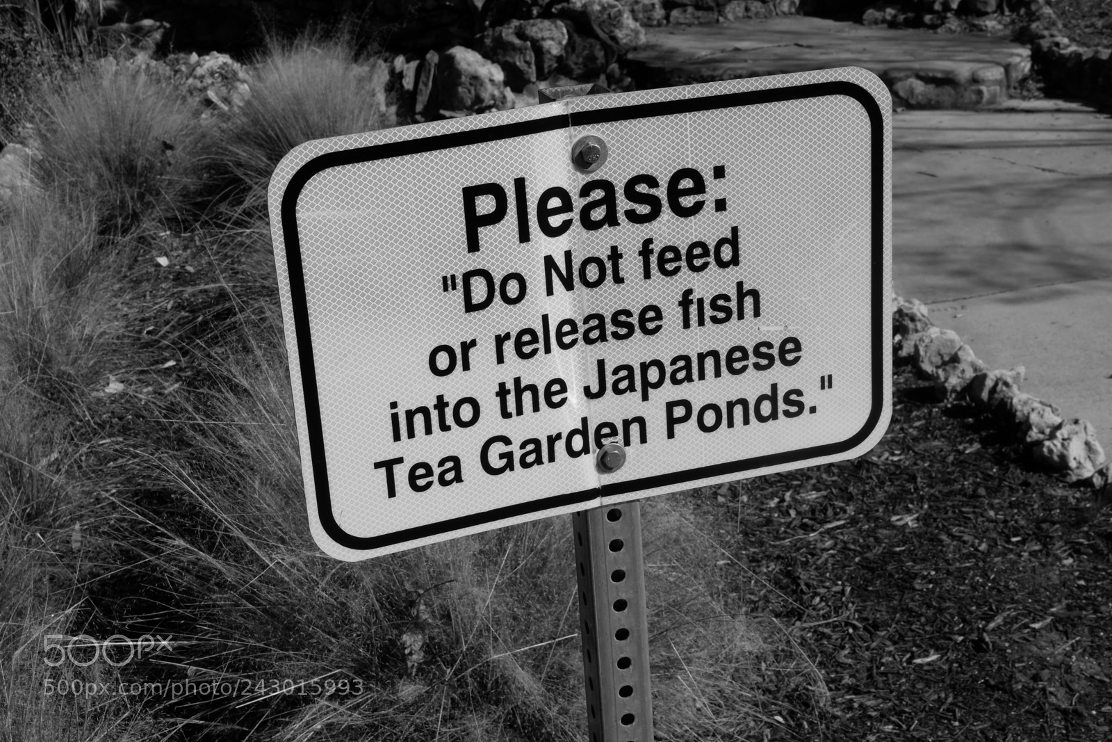 Fujifilm X-A3 sample photo. Japanese tea garden san photography