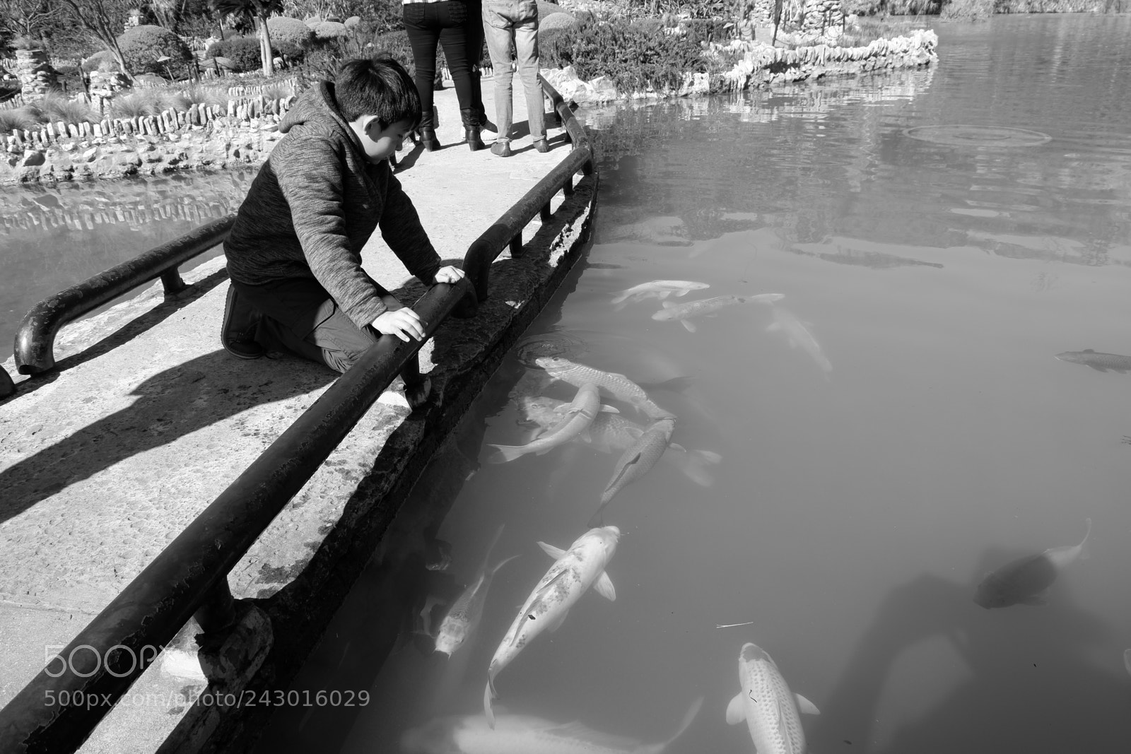 Fujifilm X-A3 sample photo. Japanese tea garden san photography