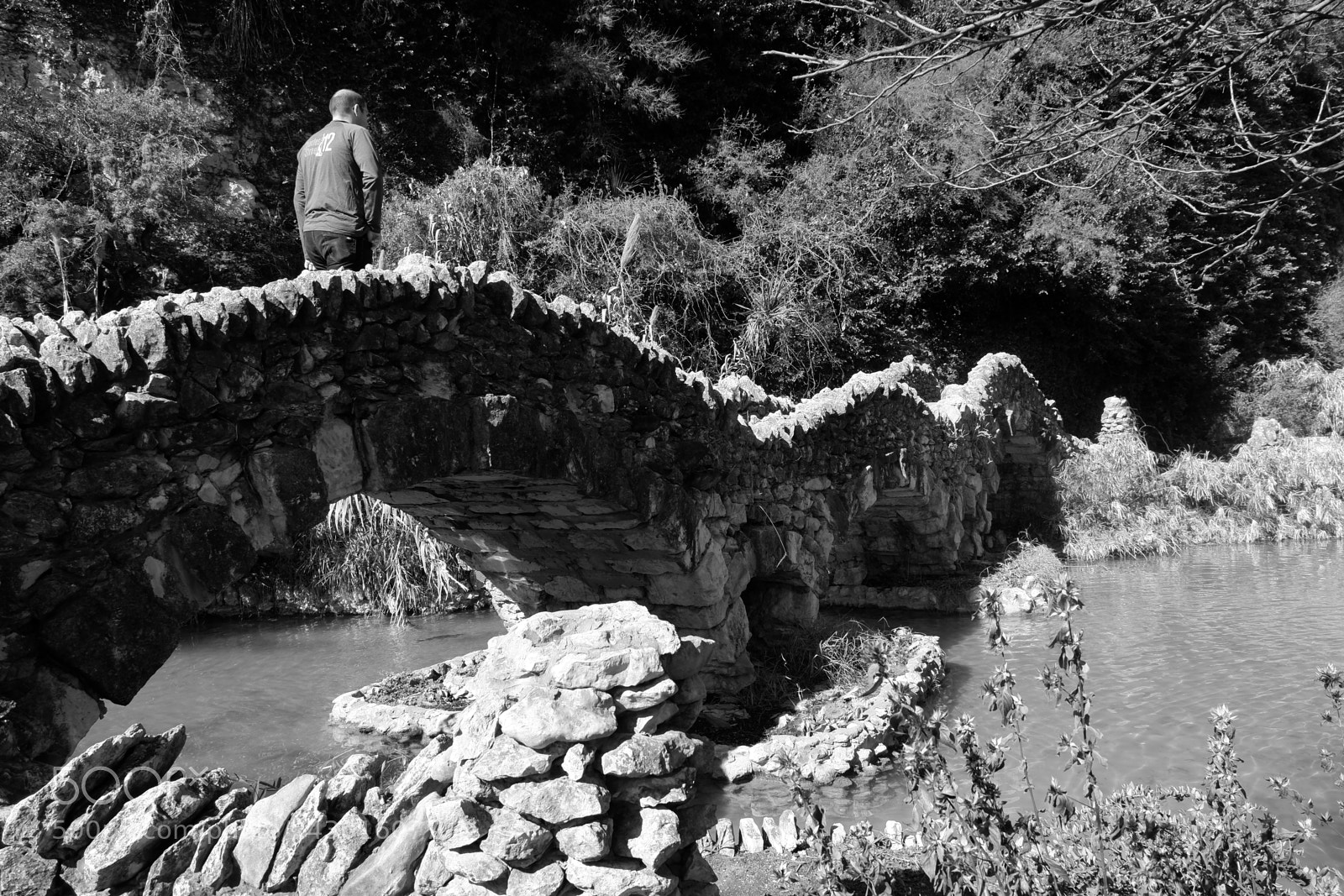 Fujifilm X-A3 sample photo. Japanese tea garden san photography