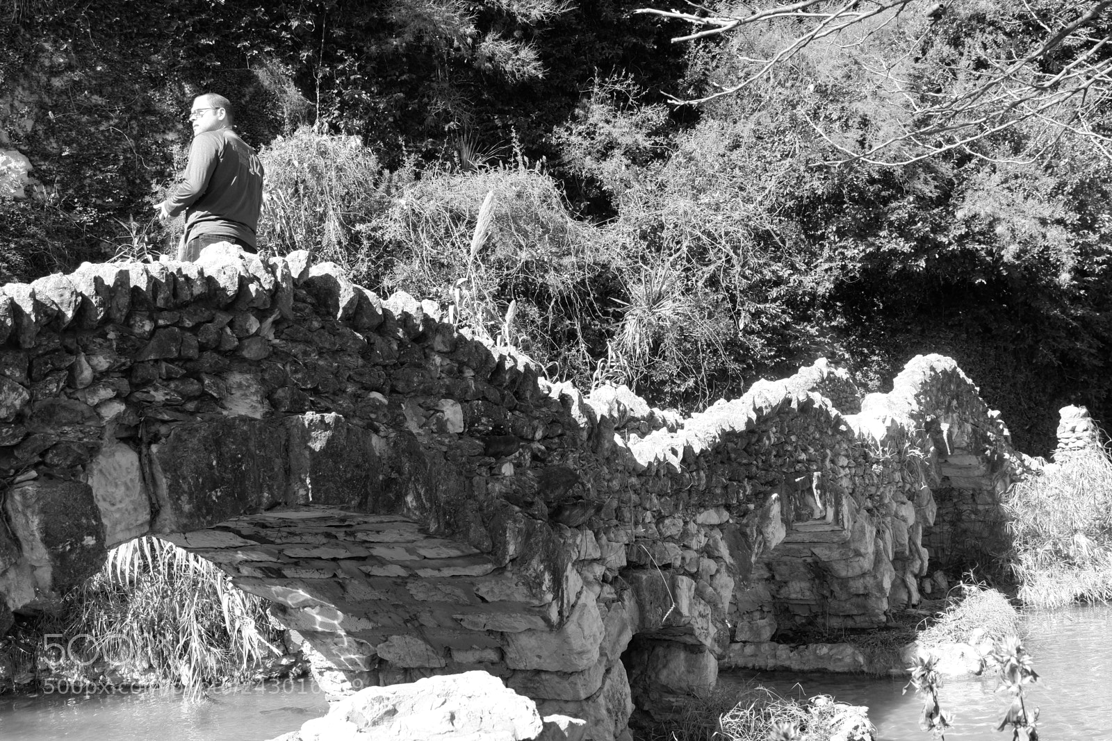 Fujifilm X-A3 sample photo. Japanese tea garden san photography