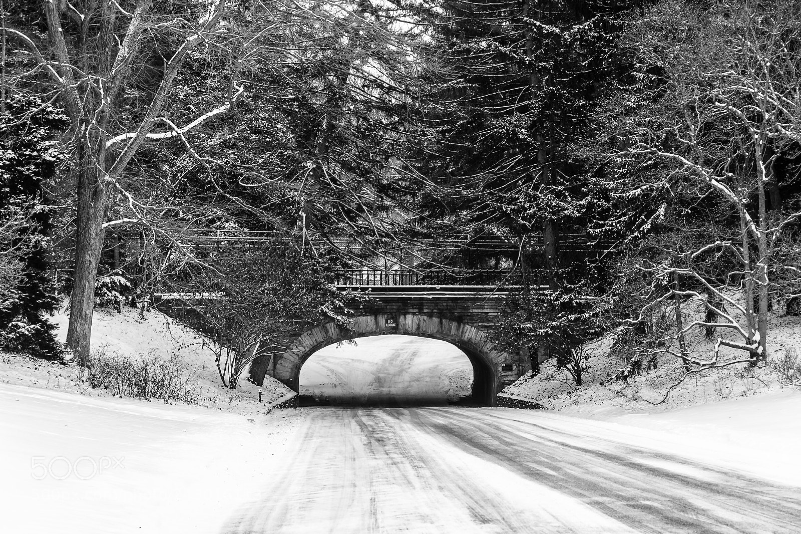 Canon EOS 60D sample photo. Spring grove winter photography