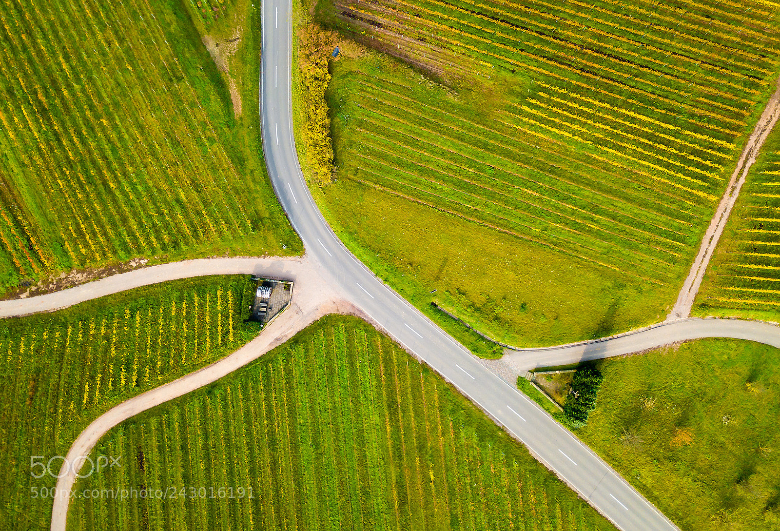 DJI FC220 sample photo. Crossways photography