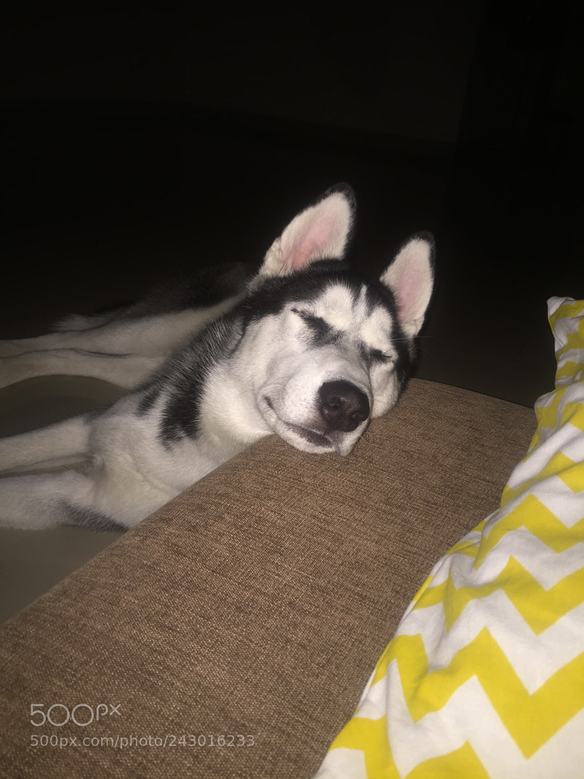 Apple iPhone 6 sample photo. Sleep tantrums photography