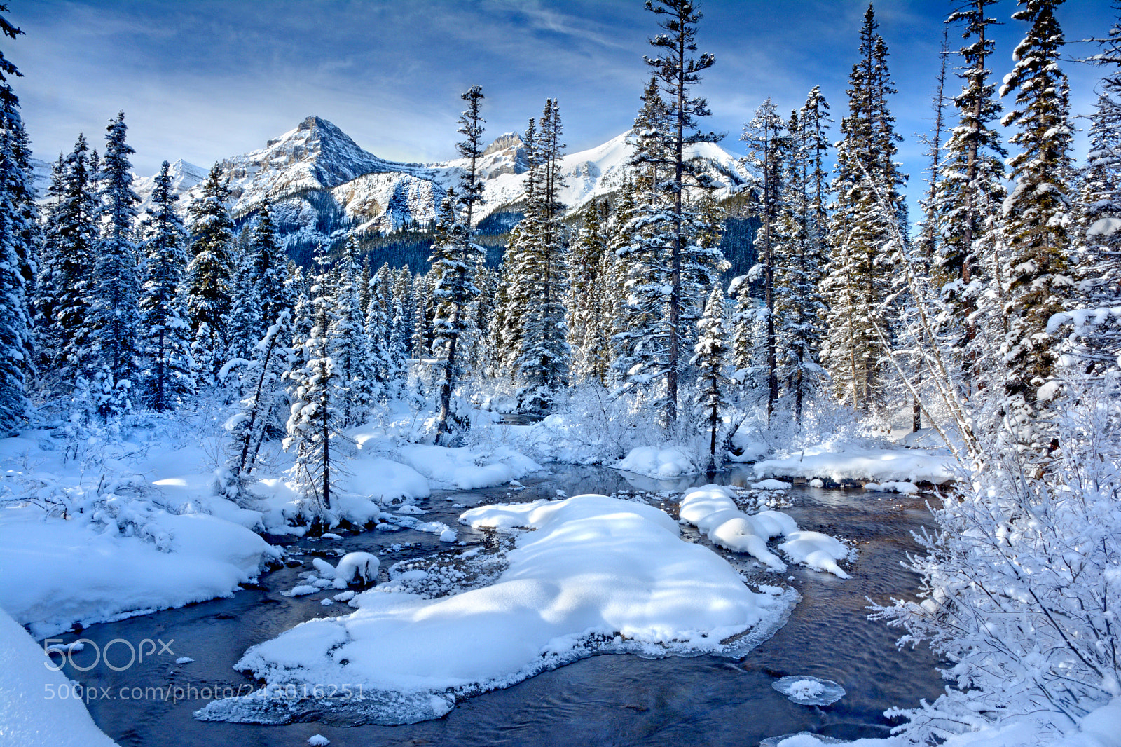 Nikon D7100 sample photo. The trees & the stream photography