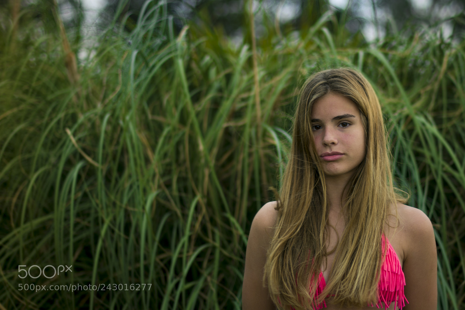 Nikon D7100 sample photo. Jungle ii photography