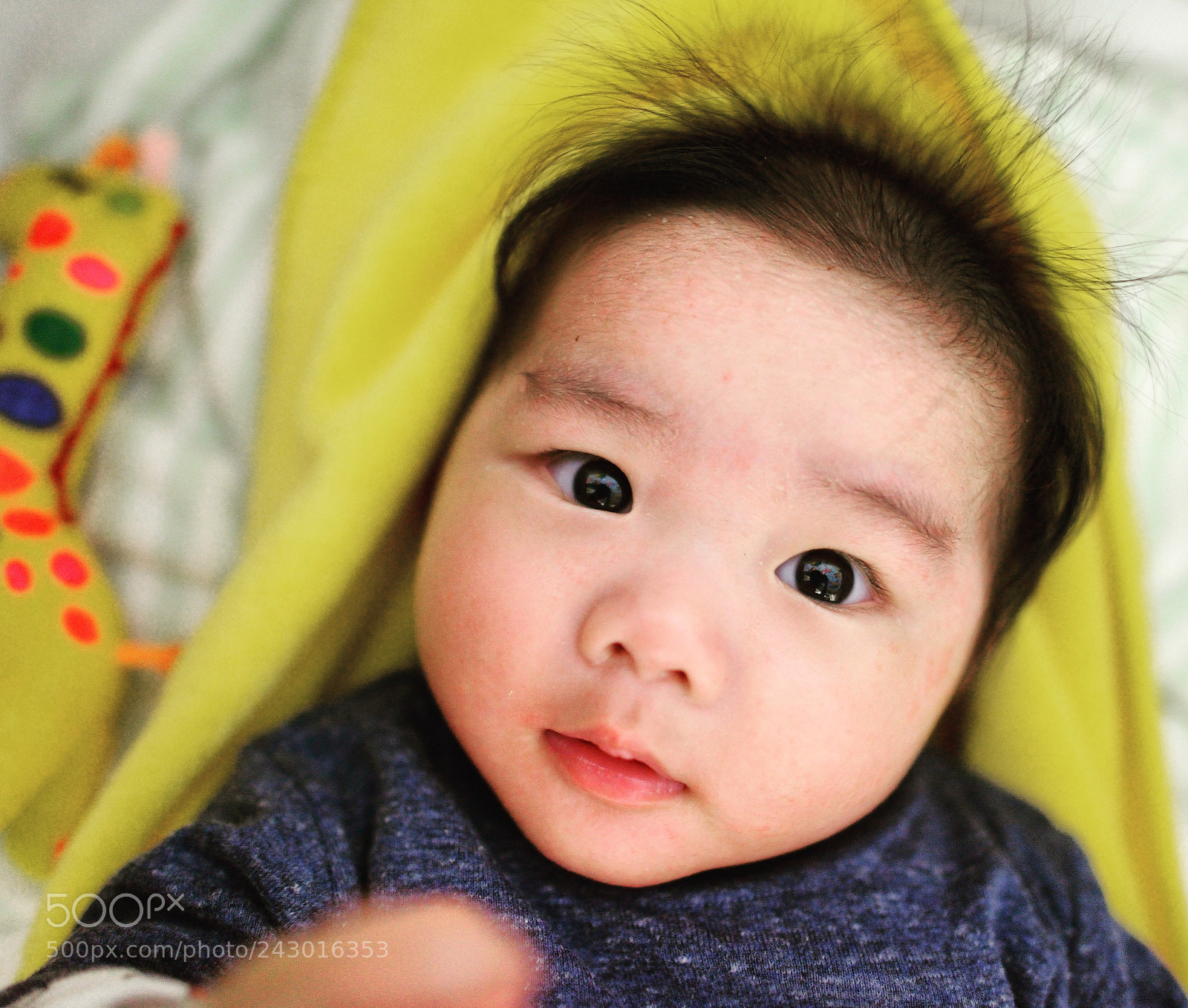 Nikon D800 sample photo. Untitled photography