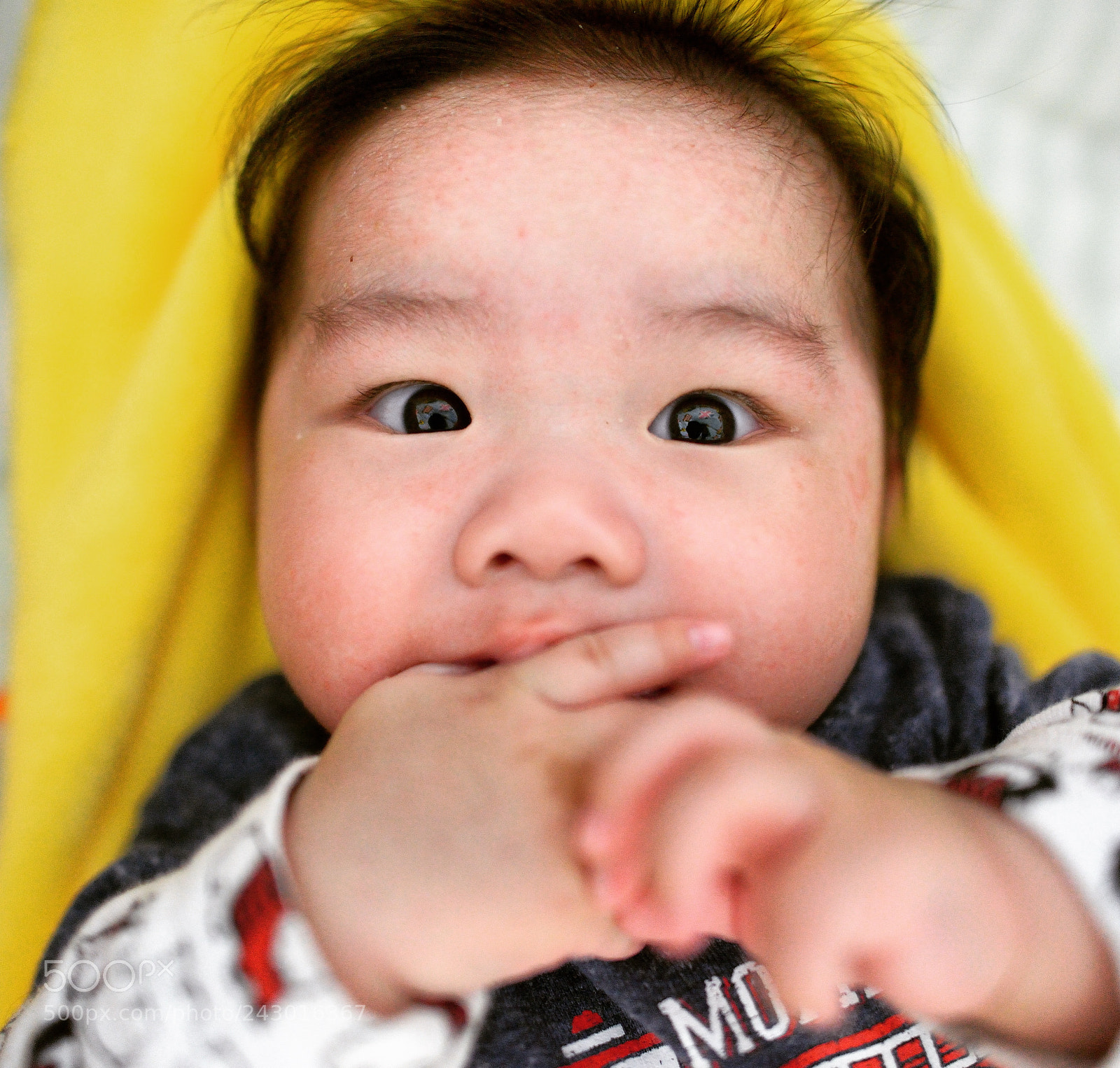 Nikon D800 sample photo. Untitled photography