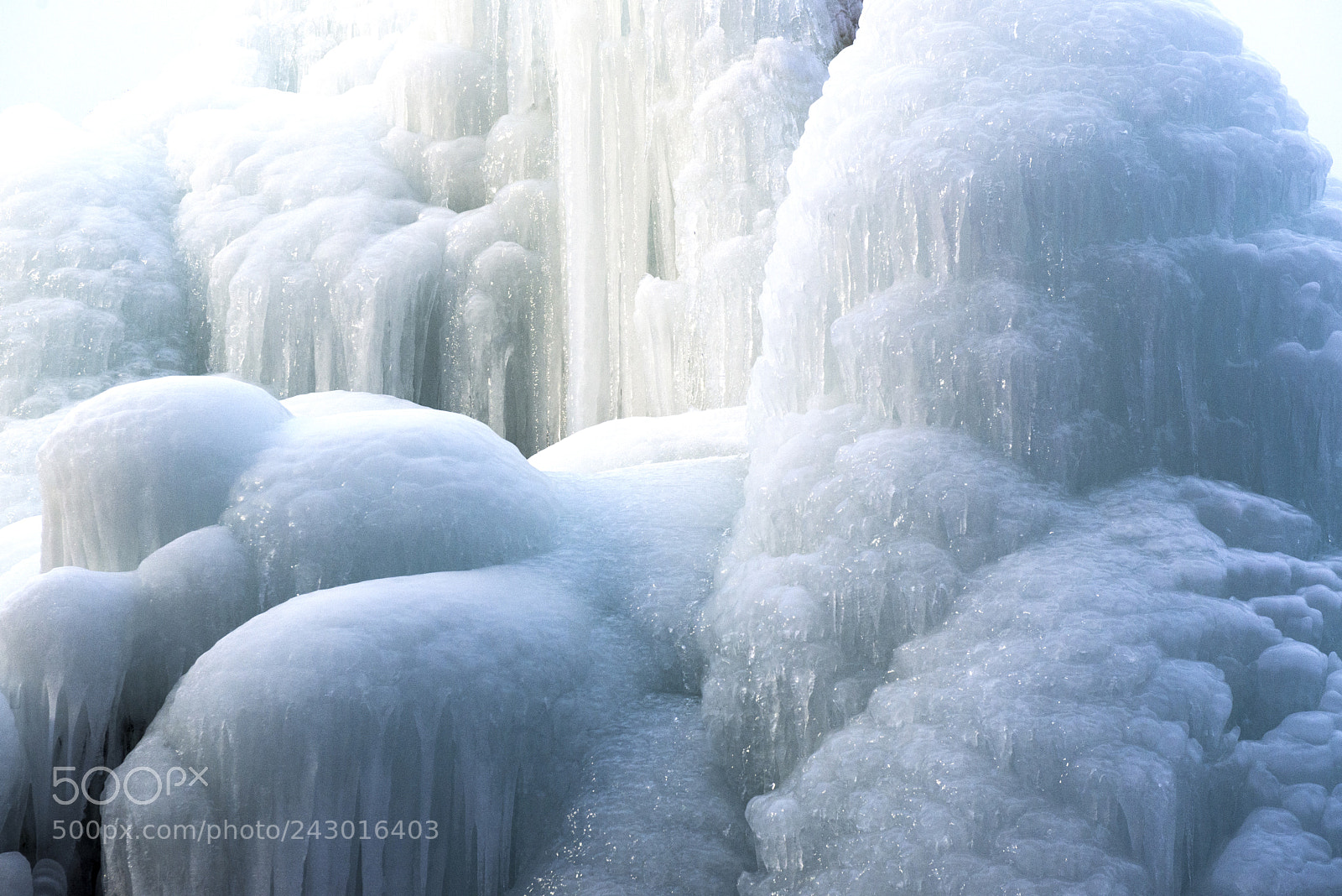 Nikon D610 sample photo. The ice palace photography