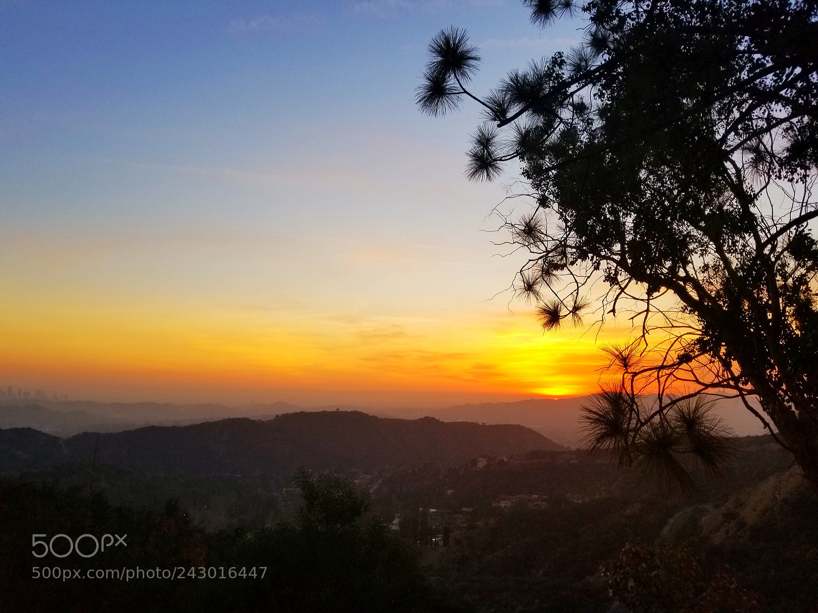 Samsung Galaxy S8+ sample photo. Los angeles photography