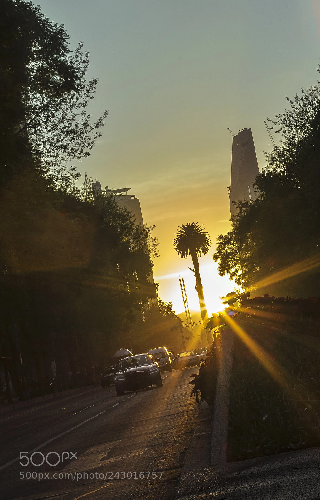 Canon EOS 1200D (EOS Rebel T5 / EOS Kiss X70 / EOS Hi) sample photo. Reforma photography