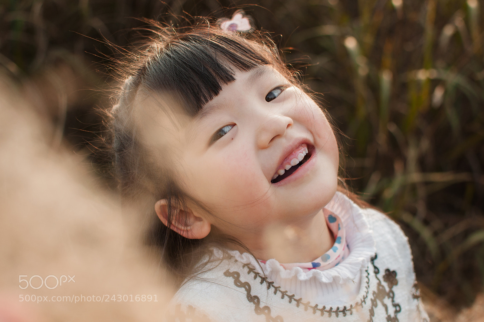 Nikon D90 sample photo. In the sunshine photography