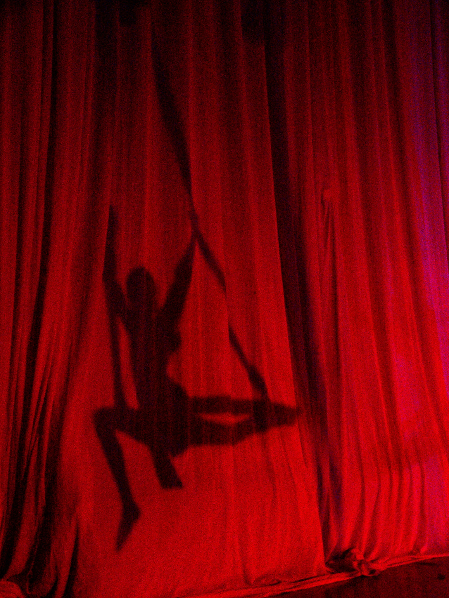 Panasonic DMC-FZ20 sample photo. Doppelganger of a circus performer photography