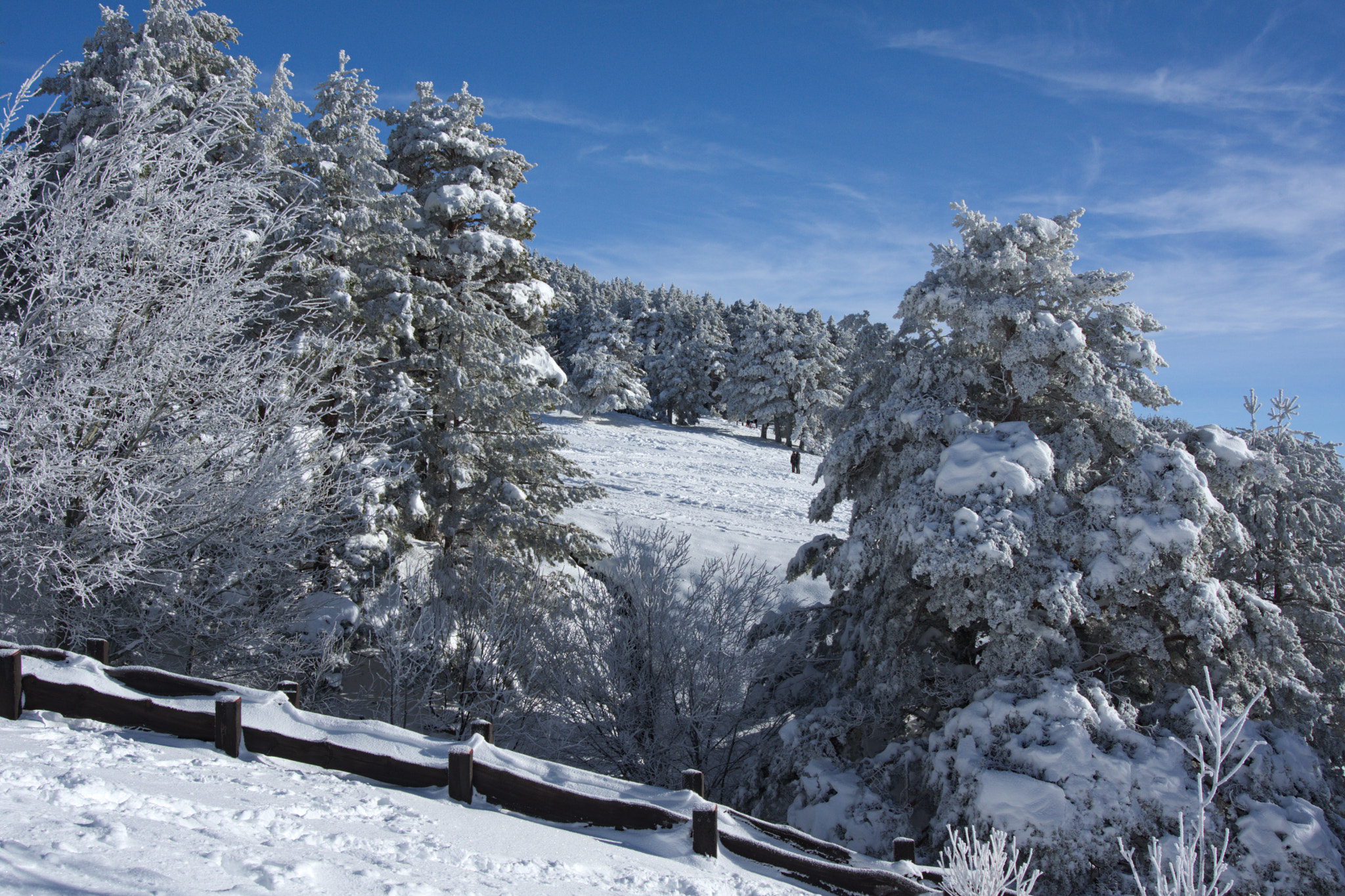Pentax K-3 II sample photo. Snow photography