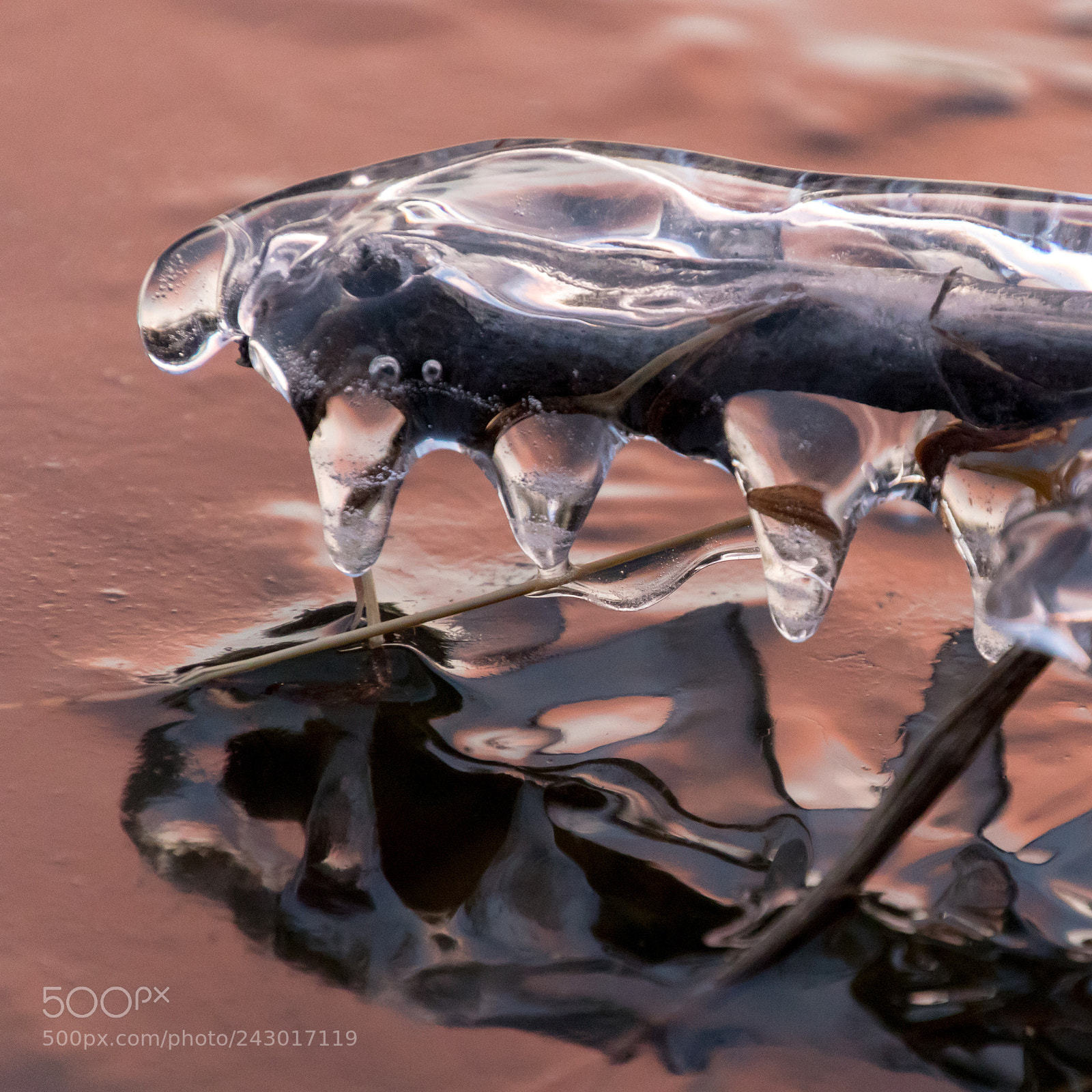 Canon EOS 7D Mark II sample photo. Nature s sculpture in photography