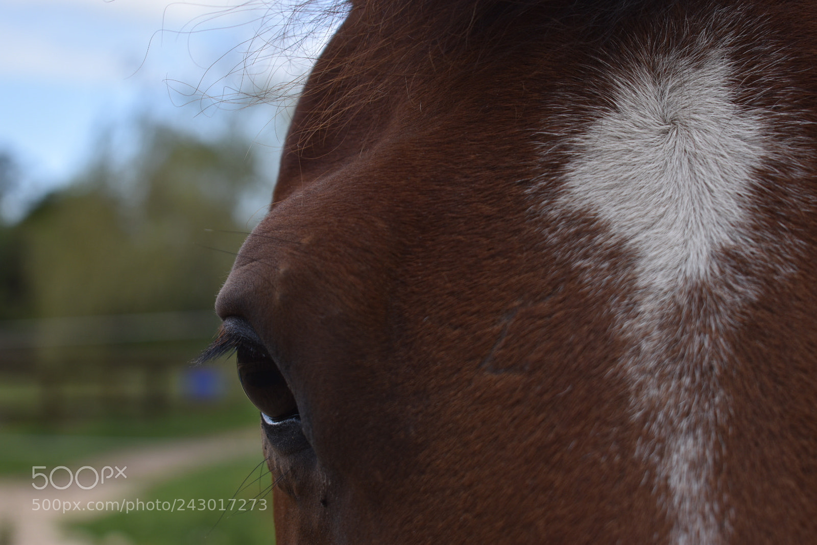 Nikon D5600 sample photo. What secrets lie photography