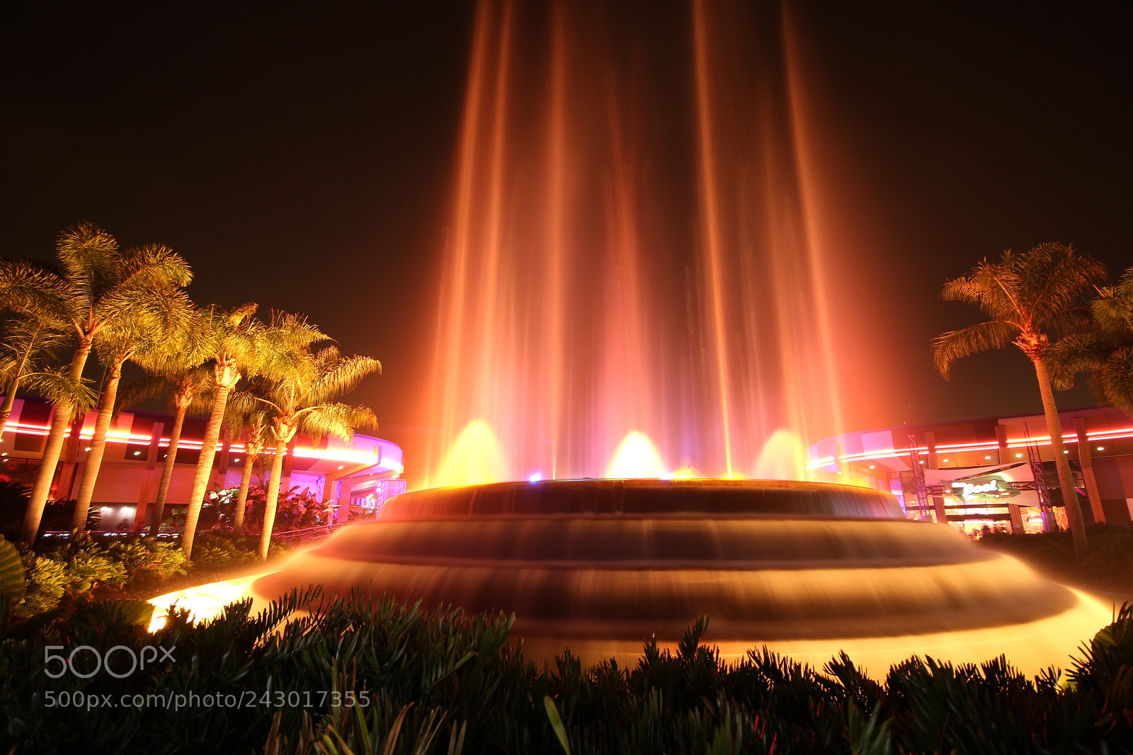 Canon EOS 100D (EOS Rebel SL1 / EOS Kiss X7) sample photo. Night, fountain, water, light photography